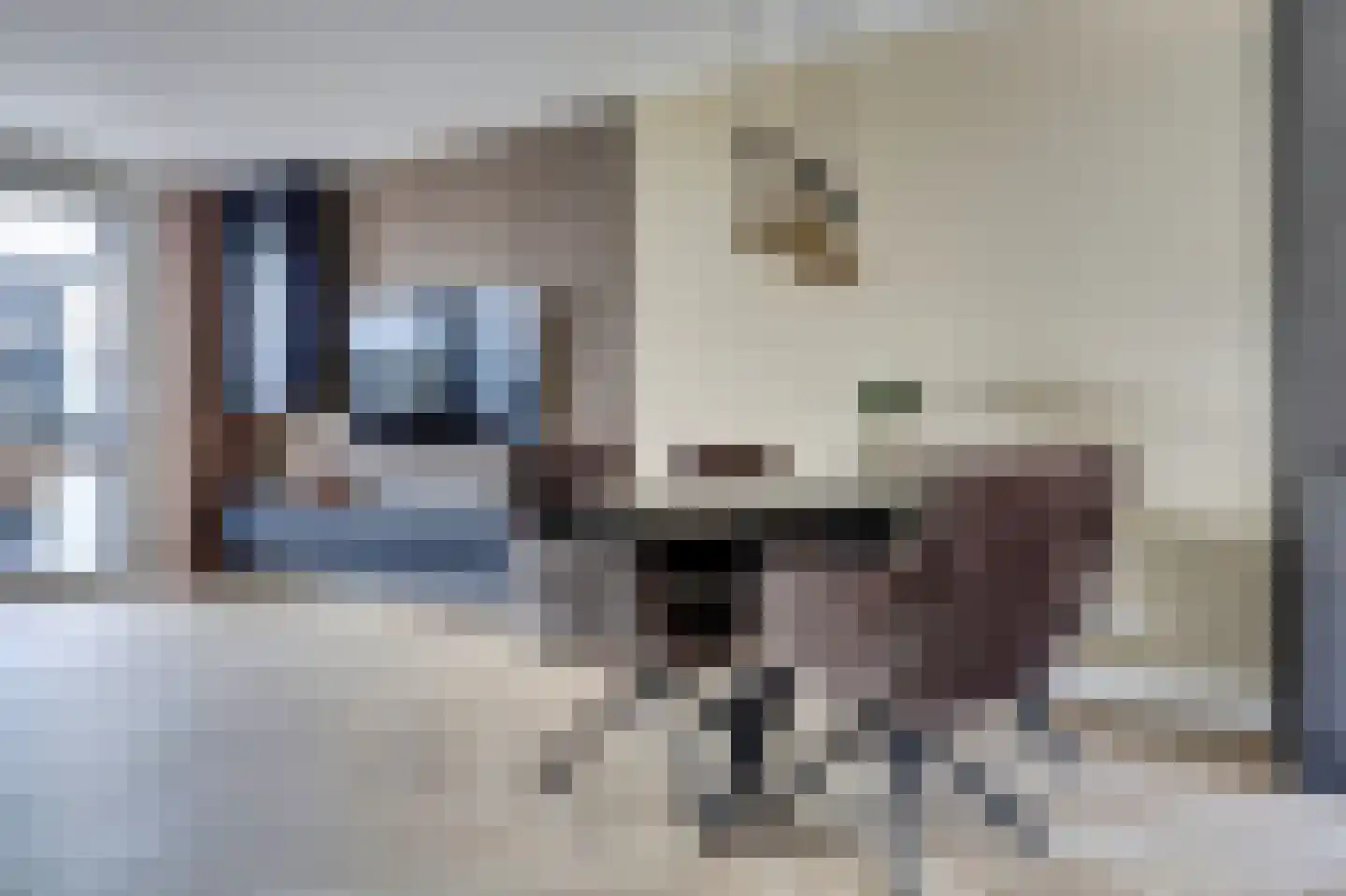 Chopinstraat 7 Spijkenisse thumbnail 10