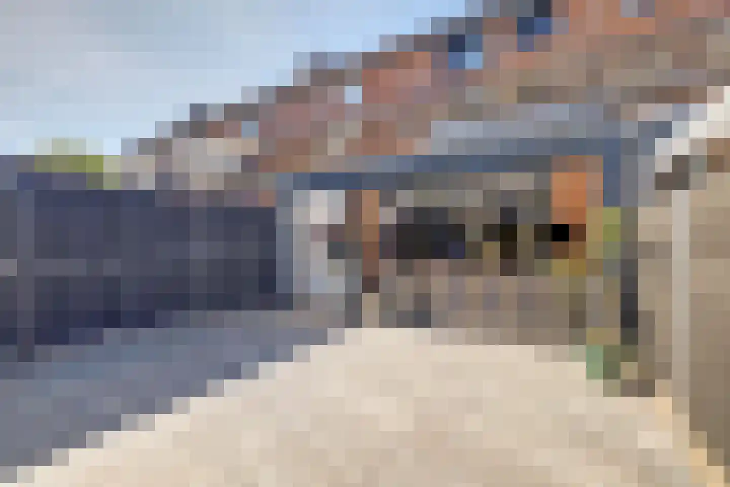 Chopinstraat 7 Spijkenisse thumbnail 18