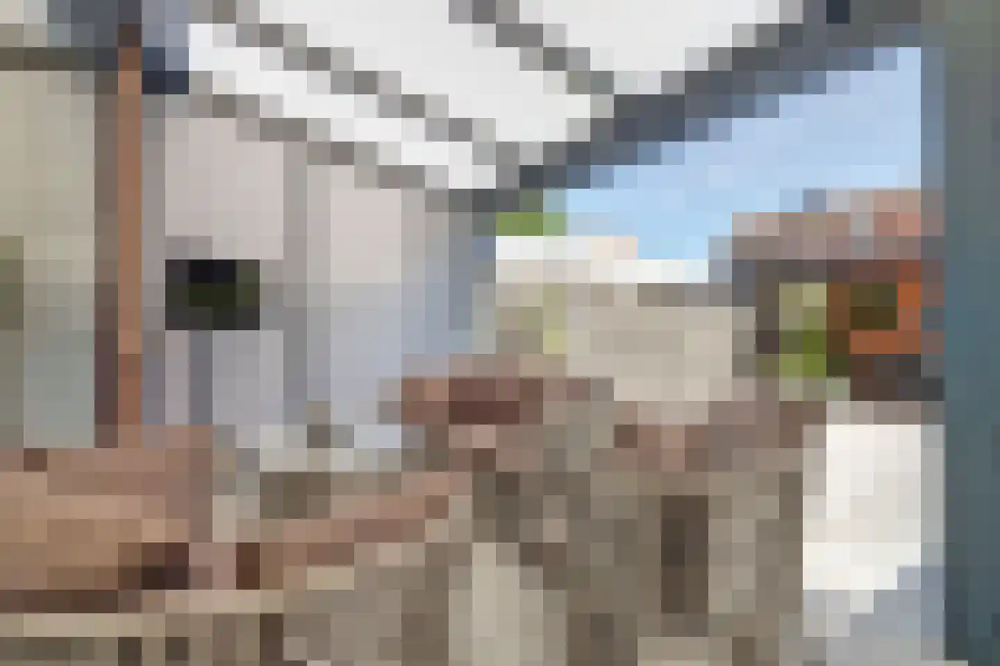 Chopinstraat 7 Spijkenisse thumbnail 20