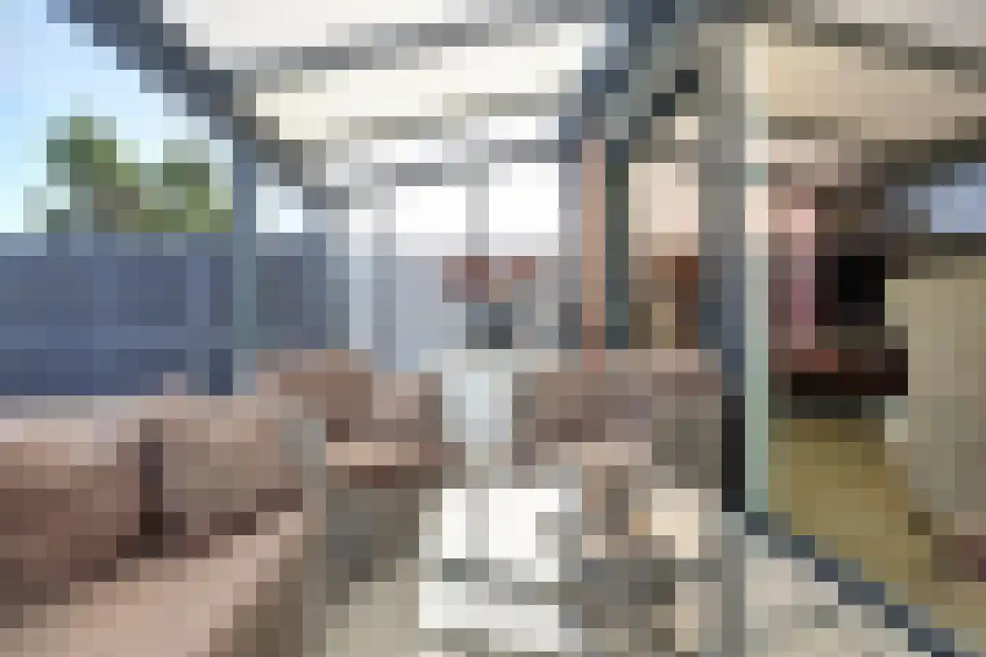 Chopinstraat 7 Spijkenisse thumbnail 21
