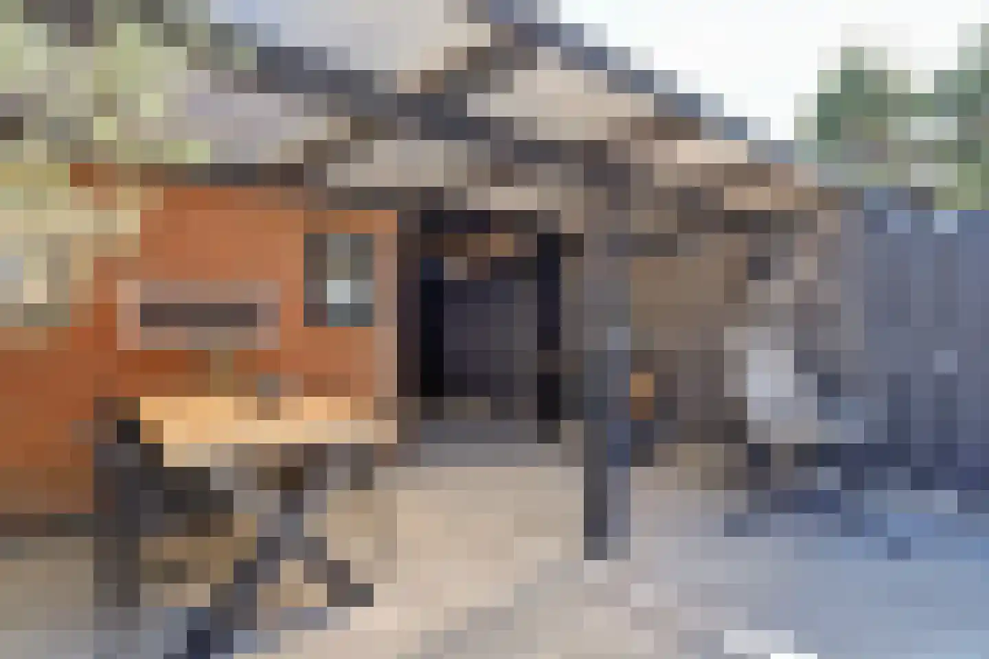 Chopinstraat 7 Spijkenisse thumbnail 24