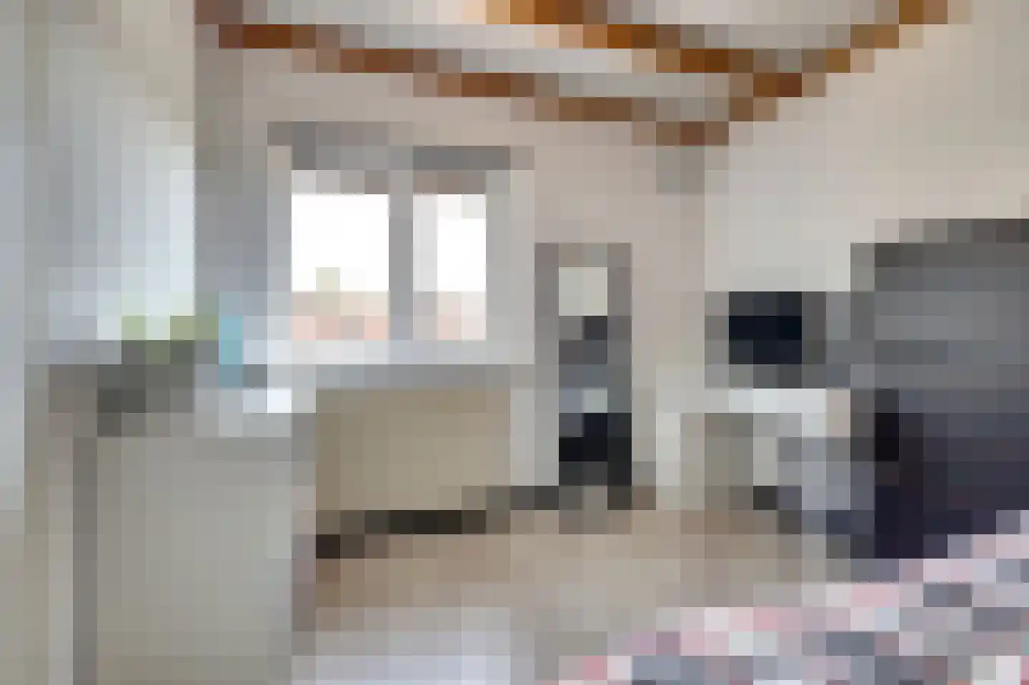Chopinstraat 7 Spijkenisse thumbnail 33