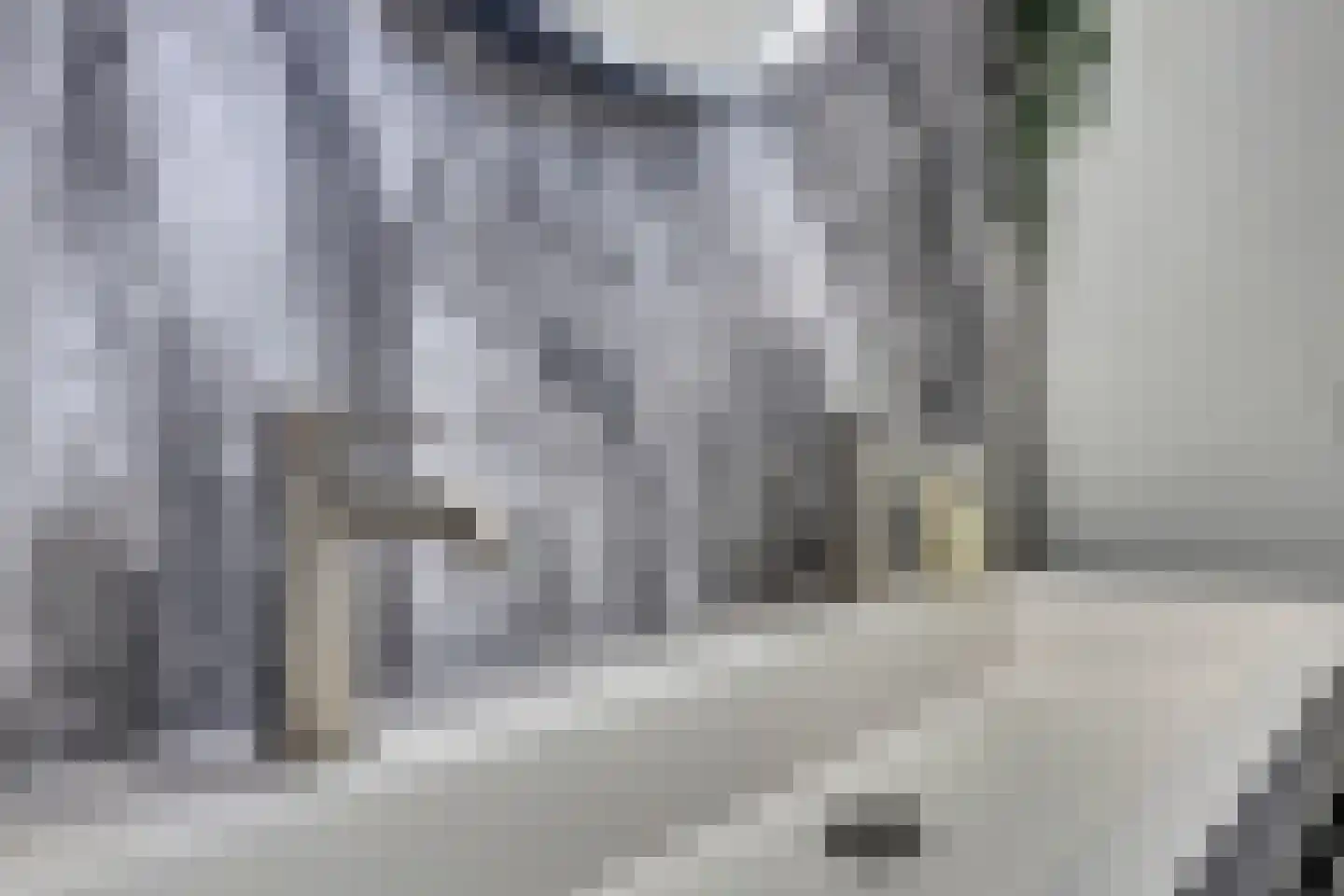Chopinstraat 7 Spijkenisse thumbnail 35