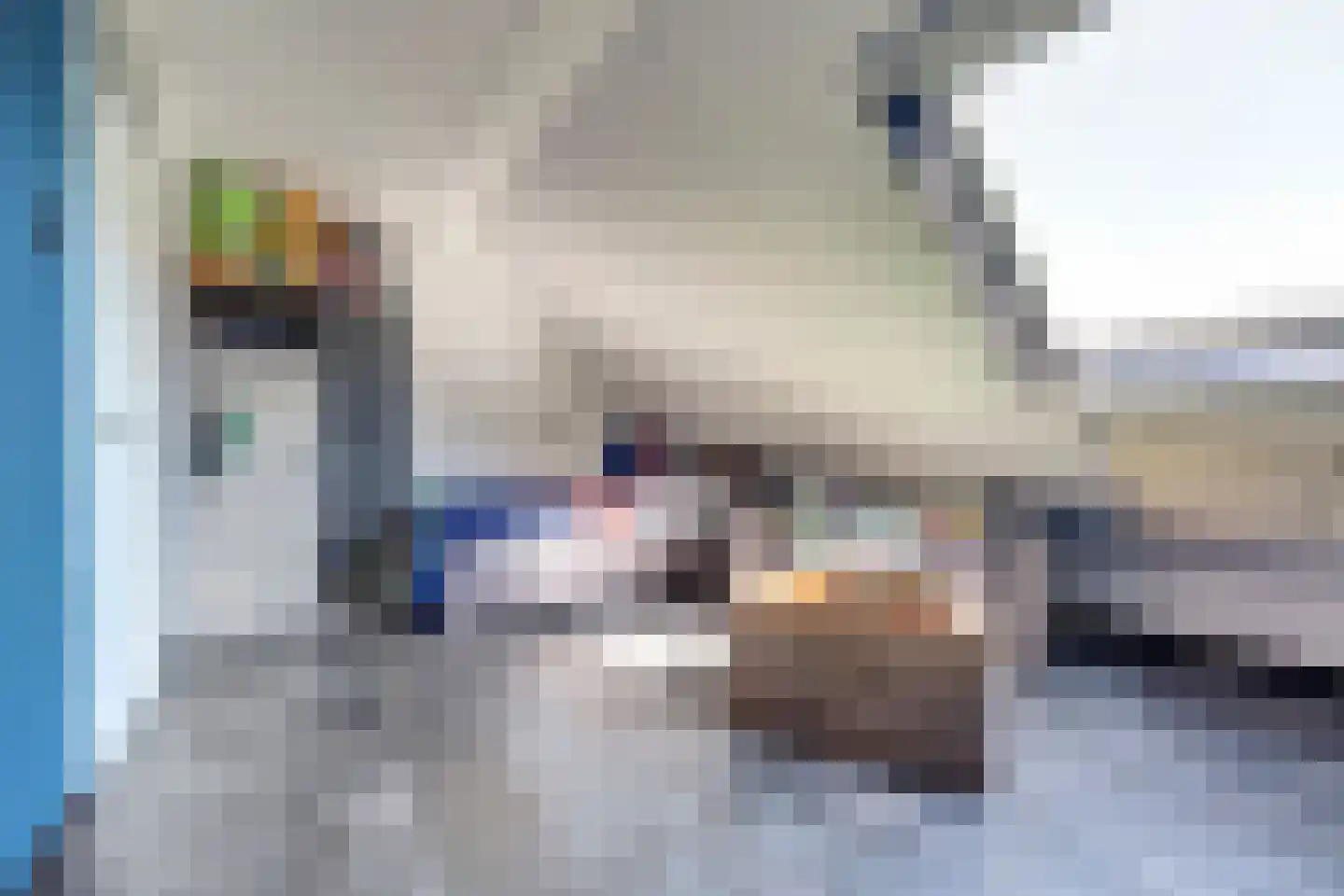 Chopinstraat 7 Spijkenisse thumbnail 39