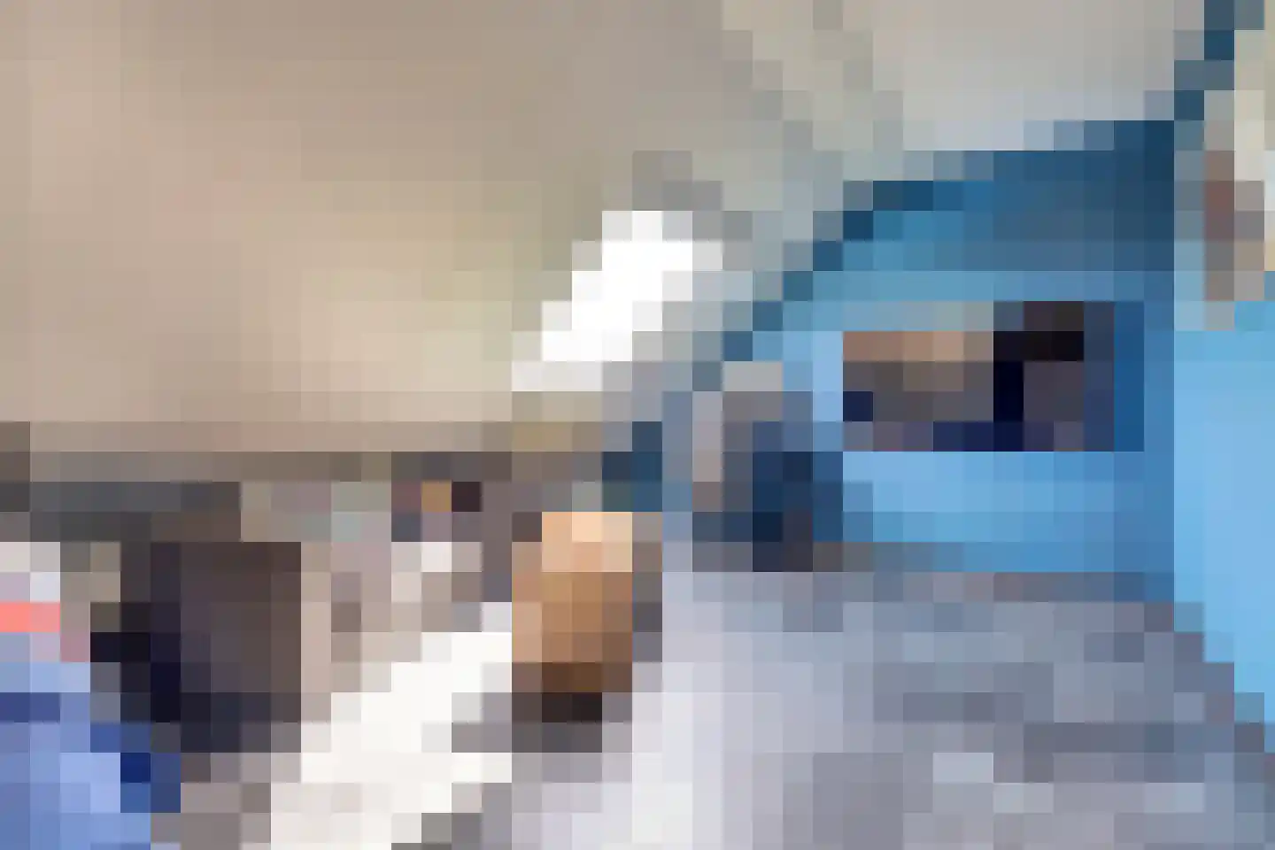 Chopinstraat 7 Spijkenisse thumbnail 40
