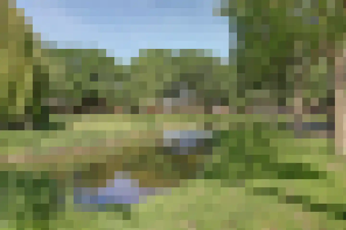 Chopinstraat 7 Spijkenisse thumbnail 42