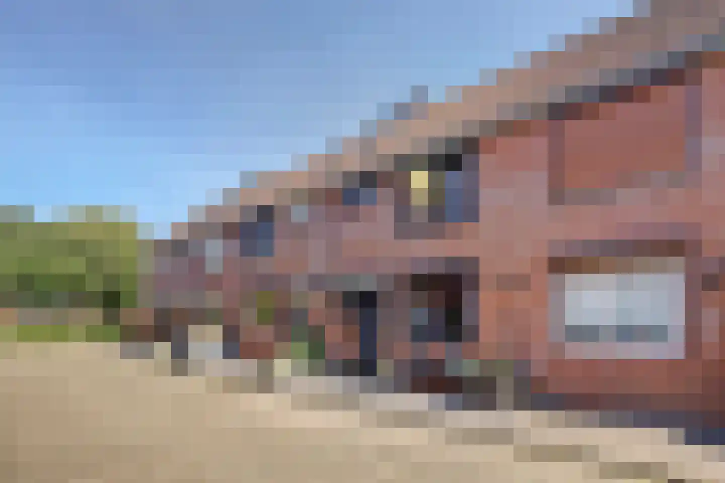 Chopinstraat 7 Spijkenisse thumbnail 45
