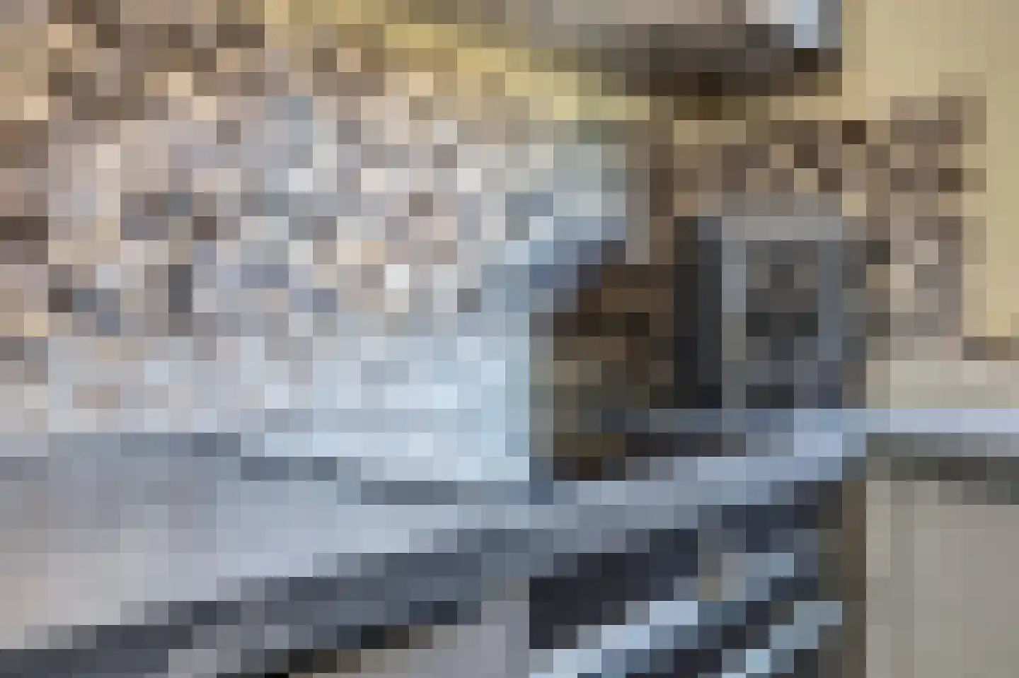 Chopinstraat 7 Spijkenisse thumbnail 5