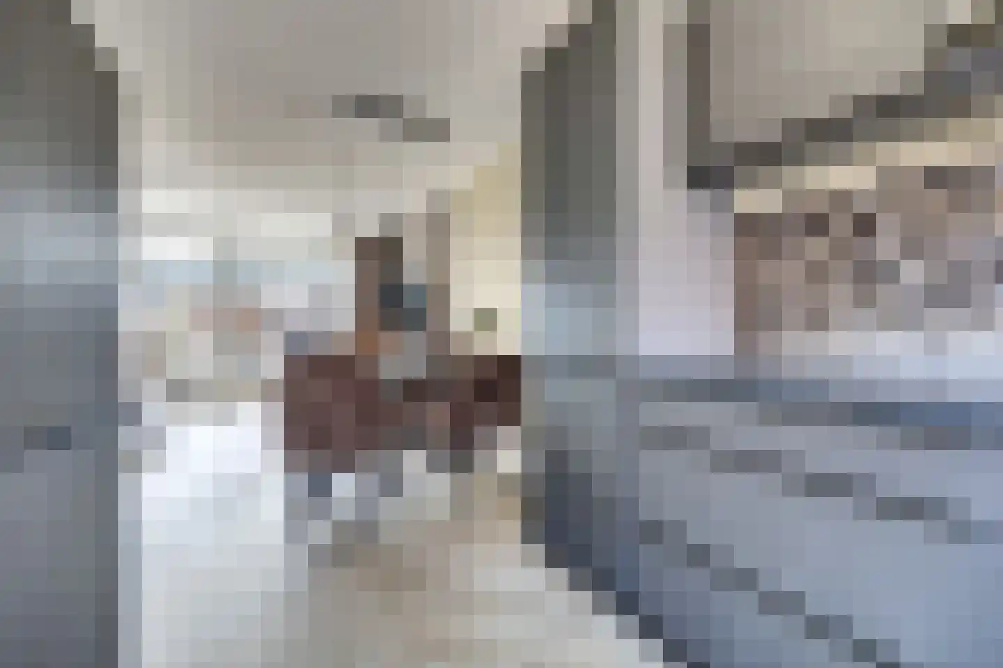 Chopinstraat 7 Spijkenisse thumbnail 6