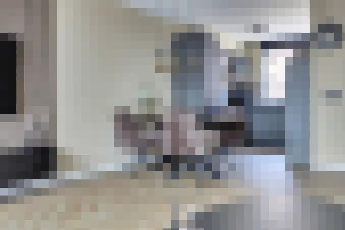 Chopinstraat 7 Spijkenisse thumbnail 7