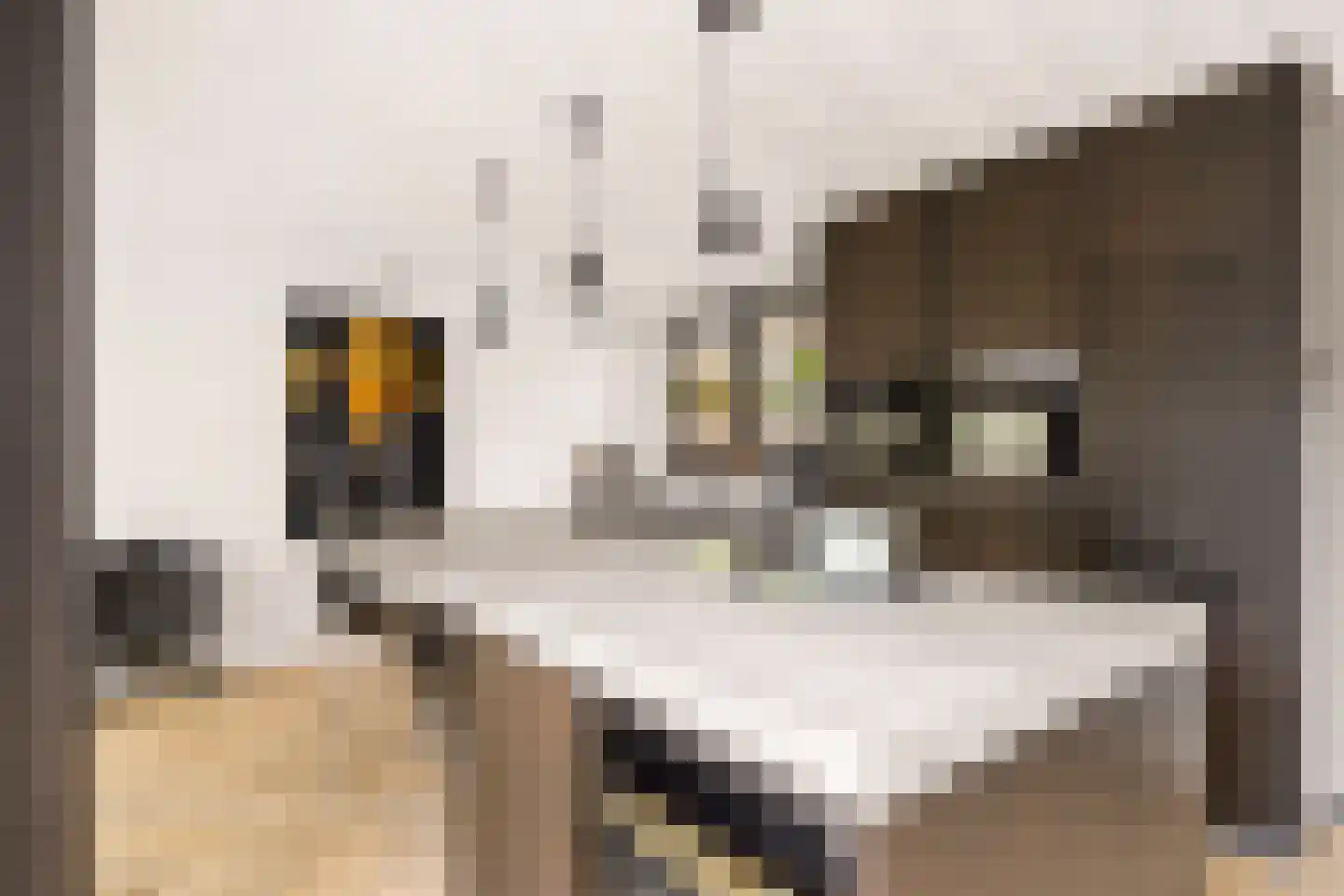 Chopinstraat 7 Tilburg thumbnail 11