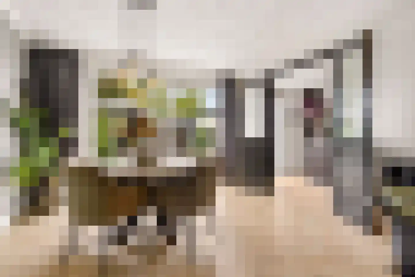 Chopinstraat 7 Tilburg thumbnail 15