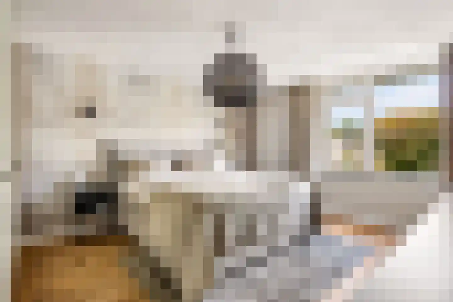 Chopinstraat 7 Tilburg thumbnail 22