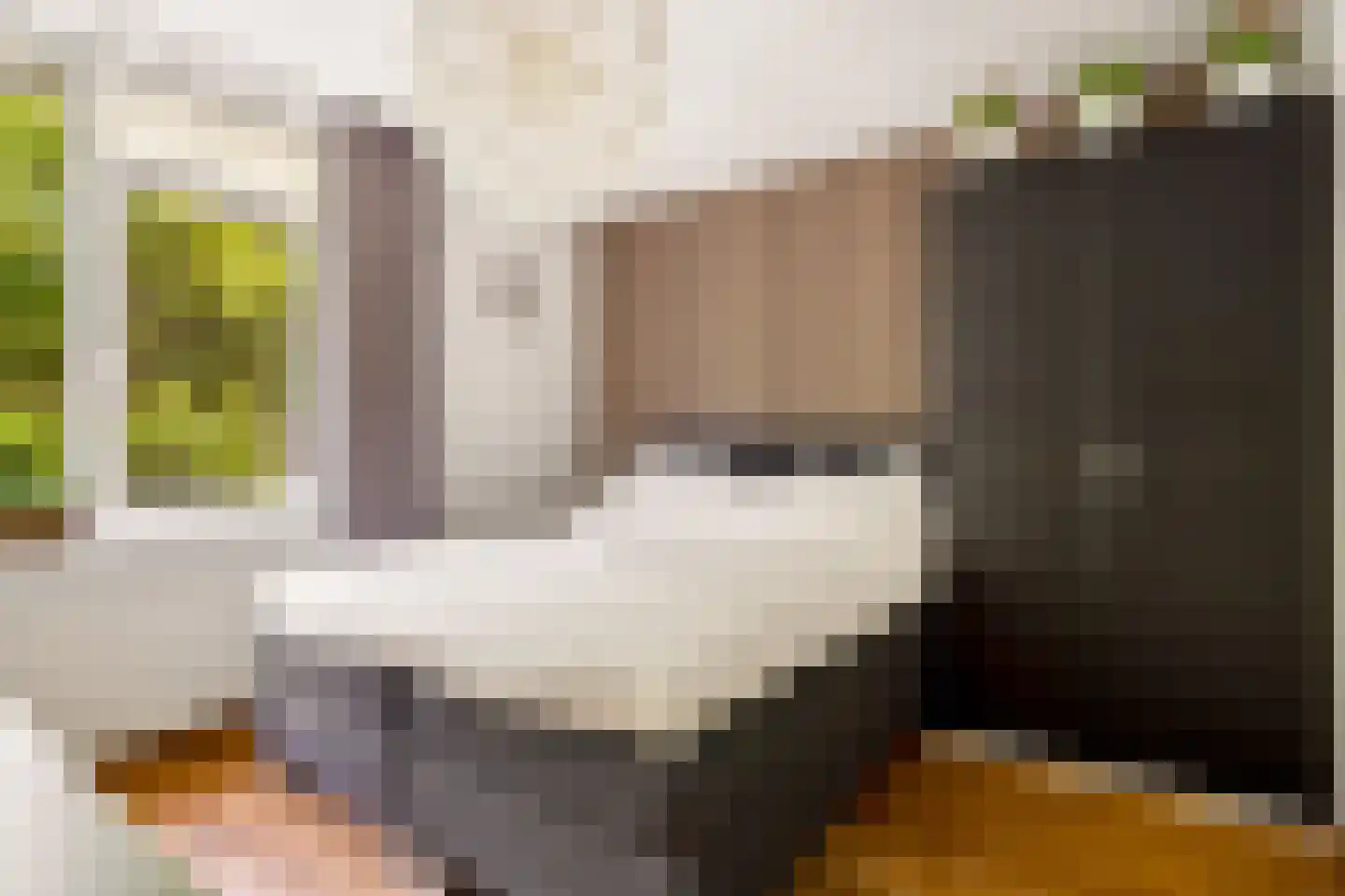 Chopinstraat 7 Tilburg thumbnail 23