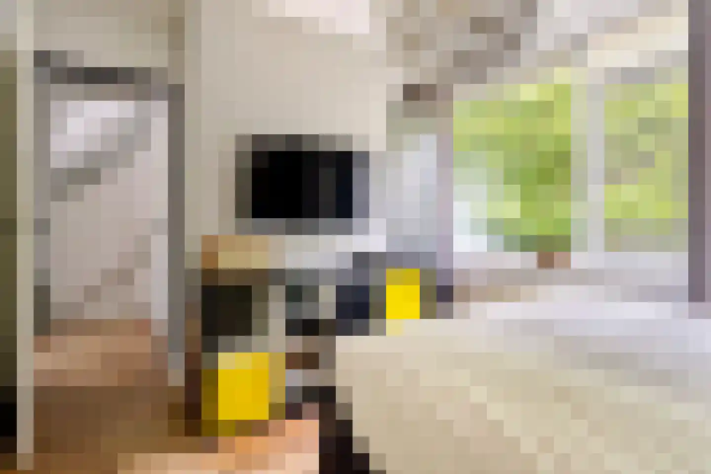 Chopinstraat 7 Tilburg thumbnail 24