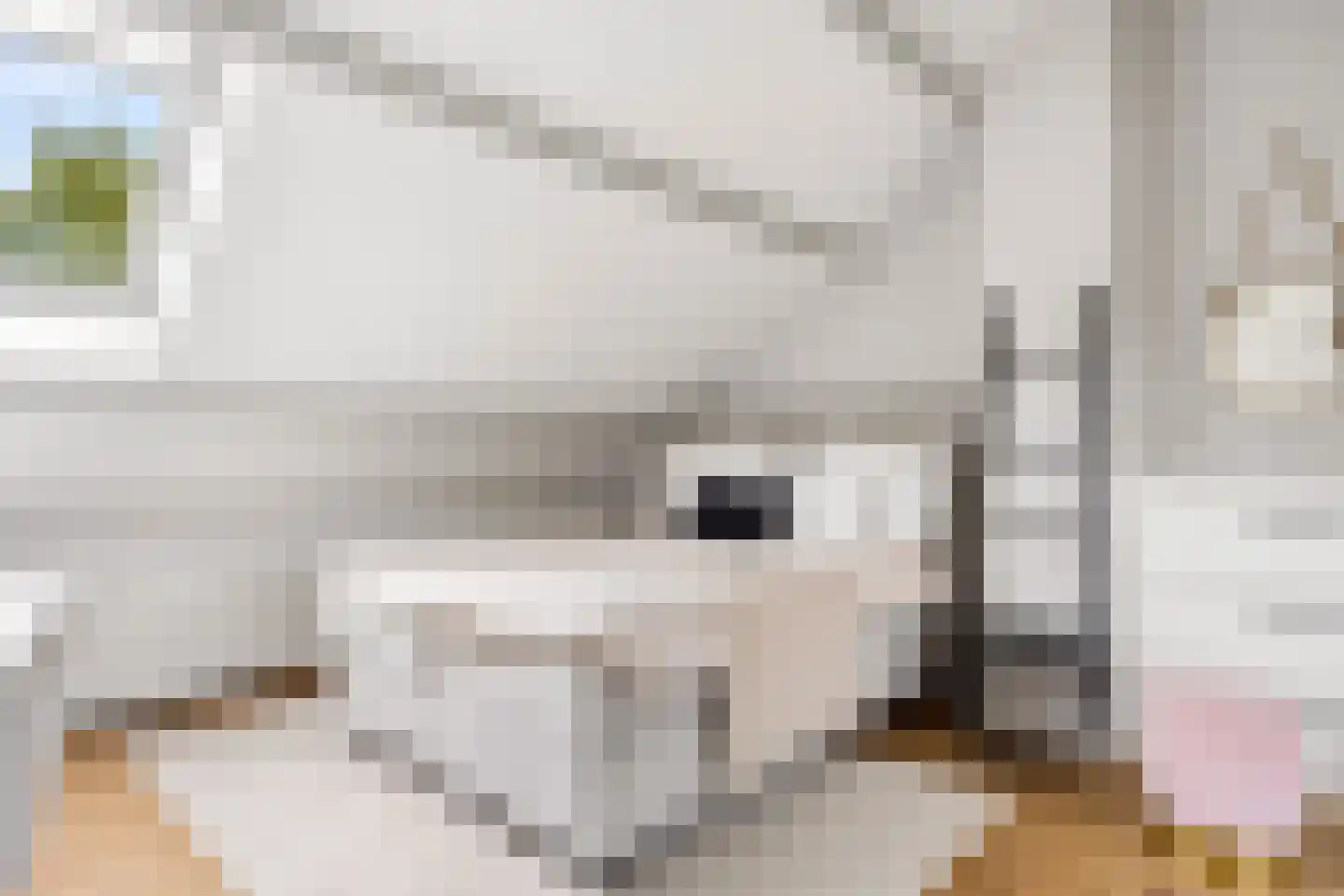 Chopinstraat 7 Tilburg thumbnail 30