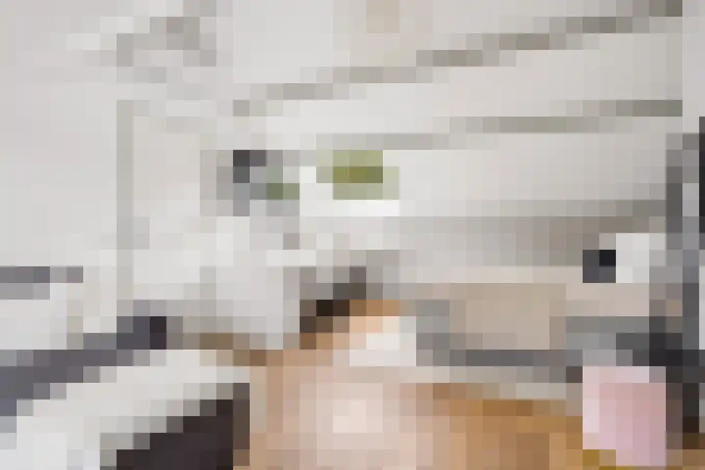 Chopinstraat 7 Tilburg thumbnail 31
