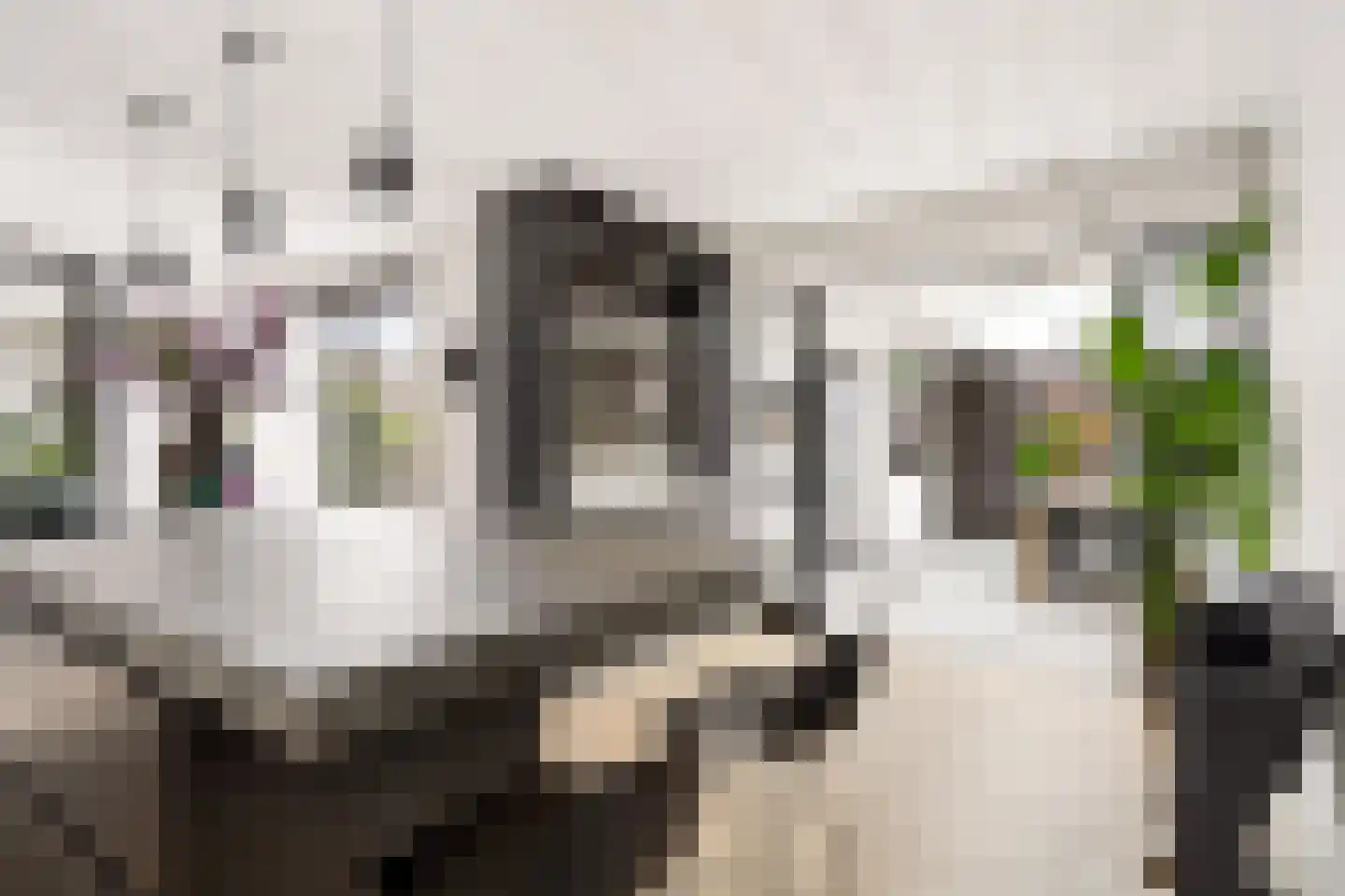 Chopinstraat 7 Tilburg thumbnail 9
