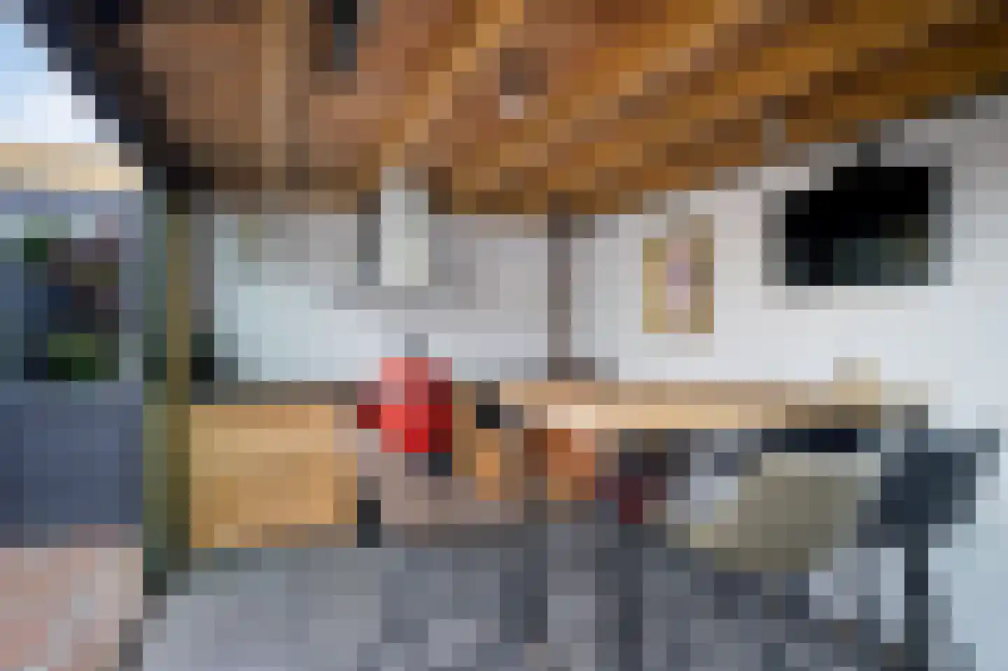Chopinstraat 70 Schijndel thumbnail 32