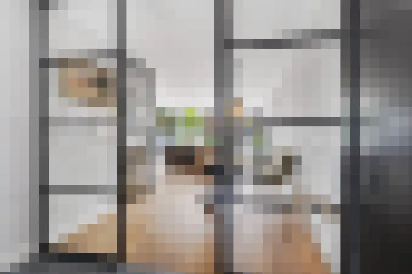 Chopinstraat 70 Schijndel thumbnail 5