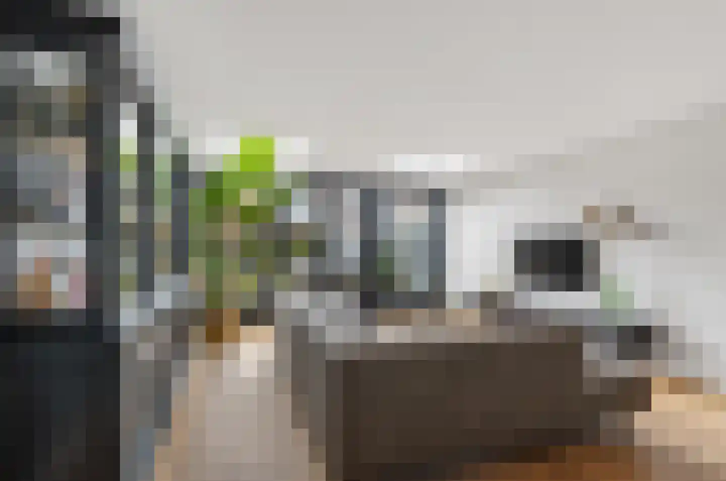 Chopinstraat 70 Schijndel thumbnail 8