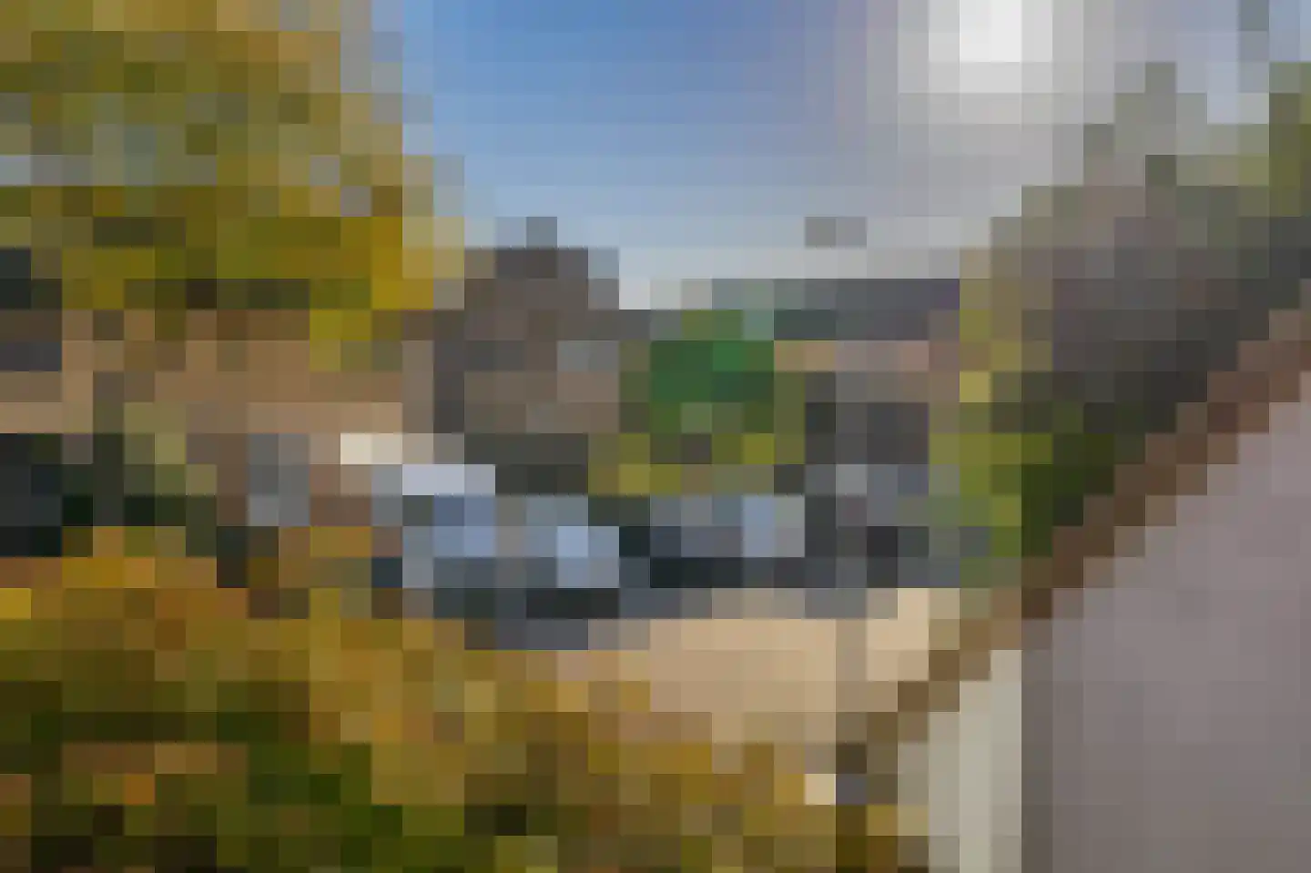 Chopinstraat 71 Capelle aan den IJssel thumbnail 25