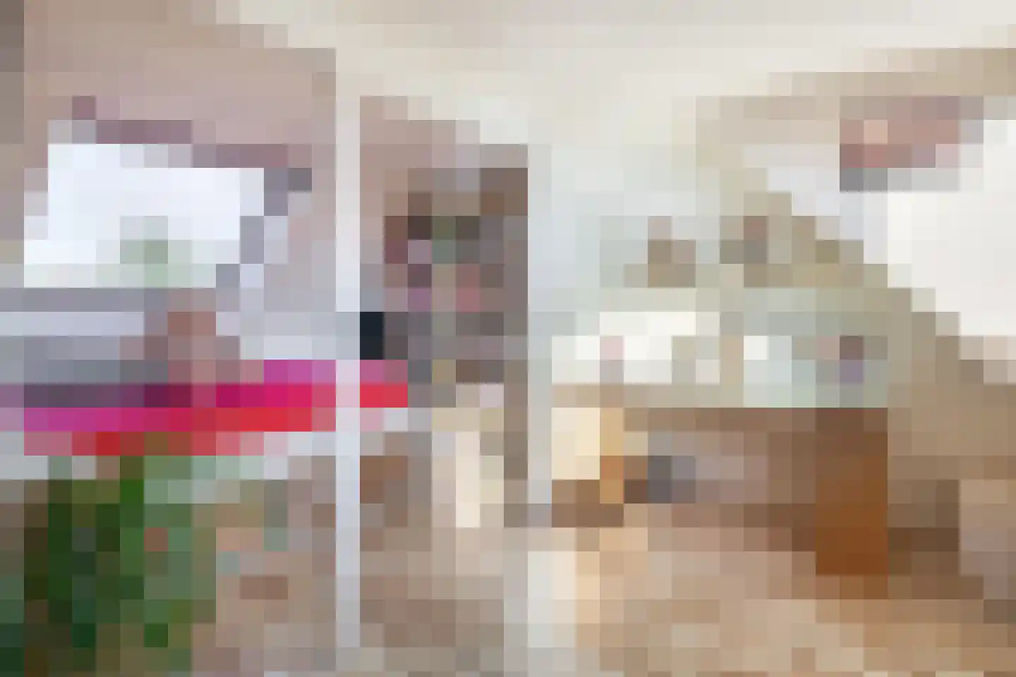 Chopinstraat 71 Capelle aan den IJssel thumbnail 34