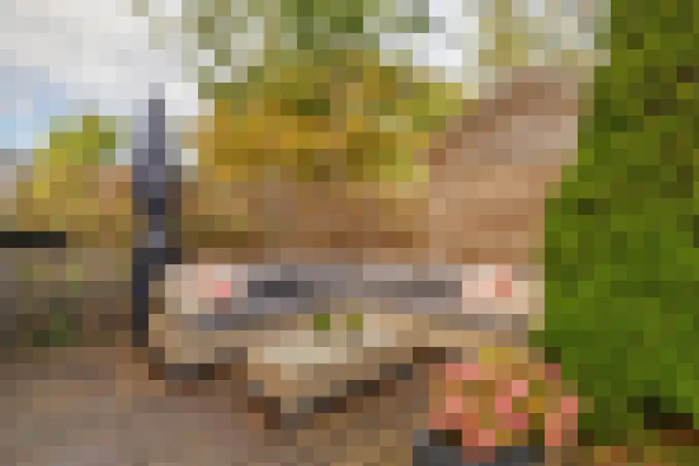 Chopinstraat 71 Capelle aan den IJssel thumbnail 37