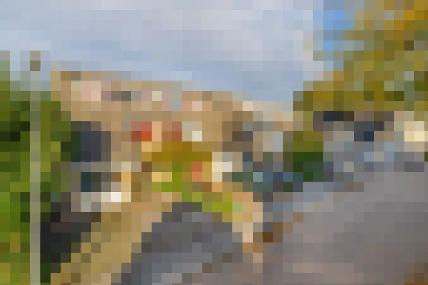 Chopinstraat 71 Capelle aan den IJssel thumbnail 42