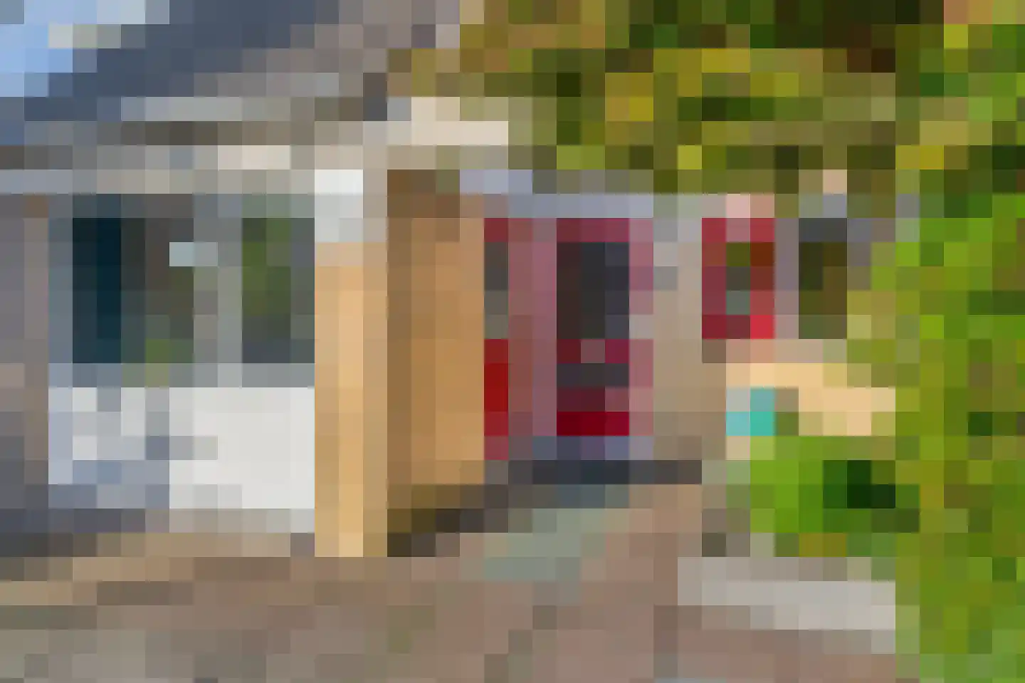 Chopinstraat 71 Capelle aan den IJssel thumbnail 6