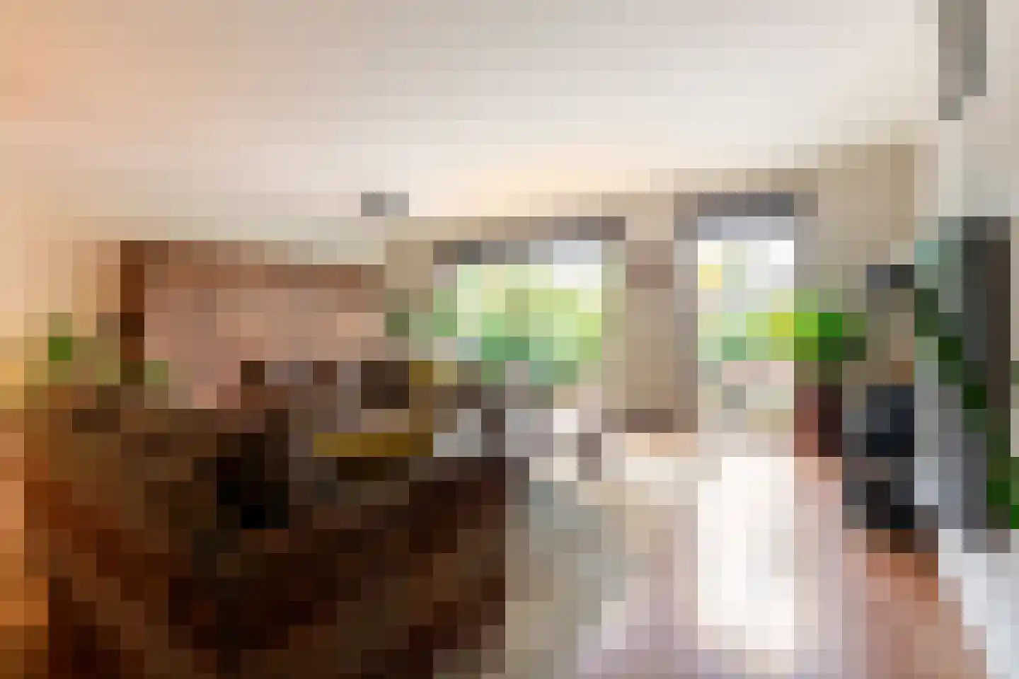 Chopinstraat 73 Capelle aan den IJssel thumbnail 17