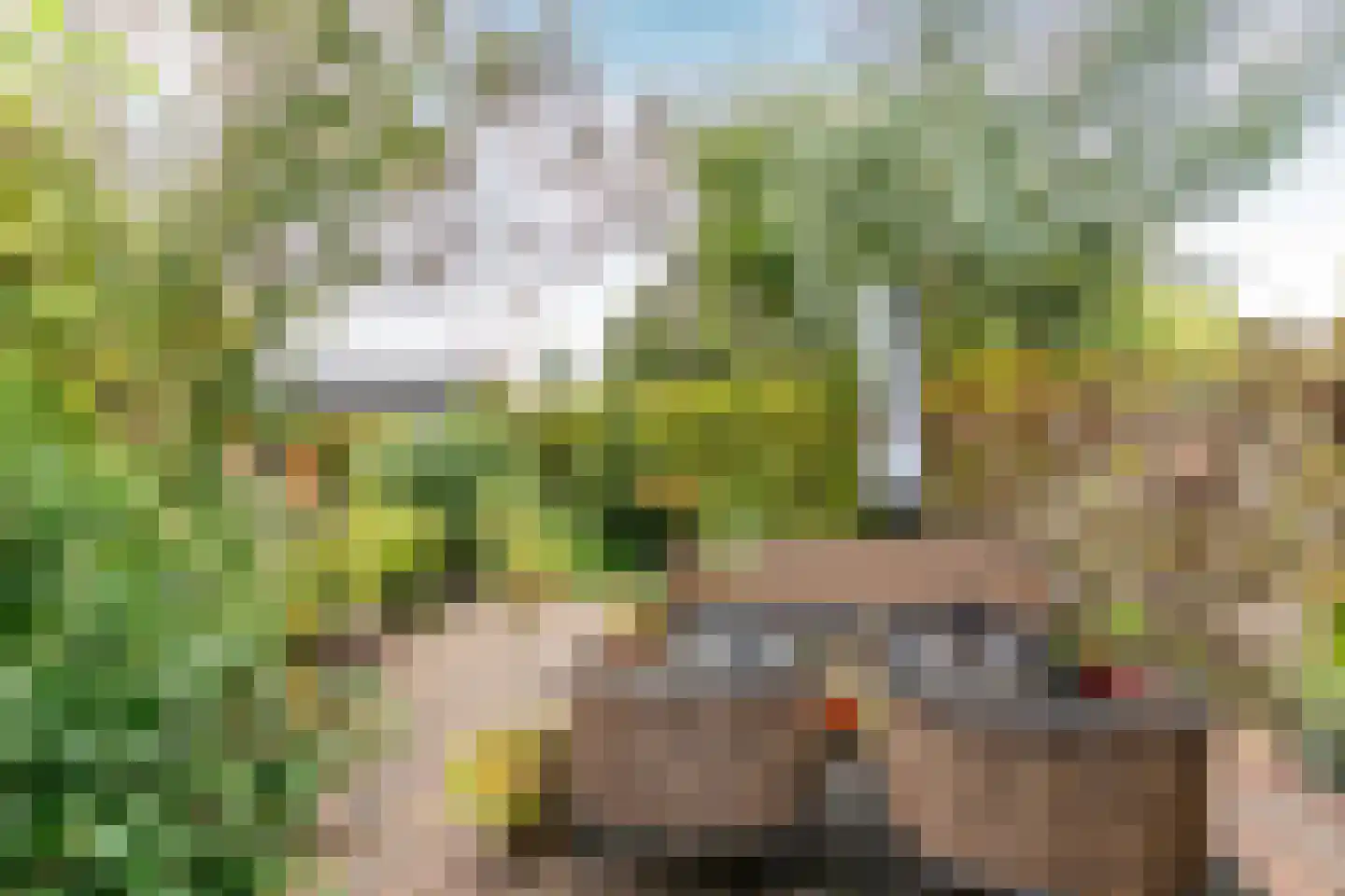 Chopinstraat 73 Capelle aan den IJssel thumbnail 20