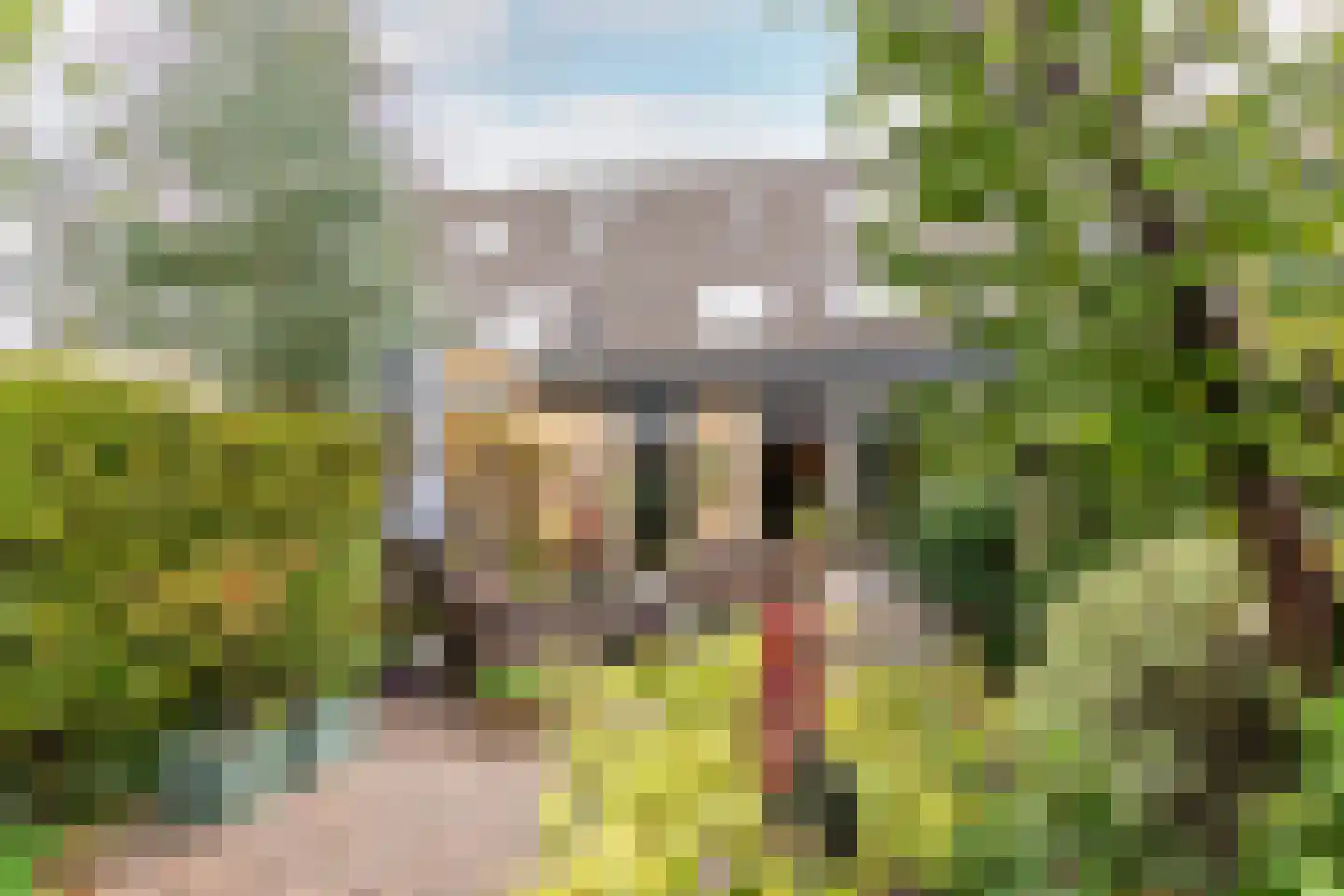 Chopinstraat 73 Capelle aan den IJssel thumbnail 21