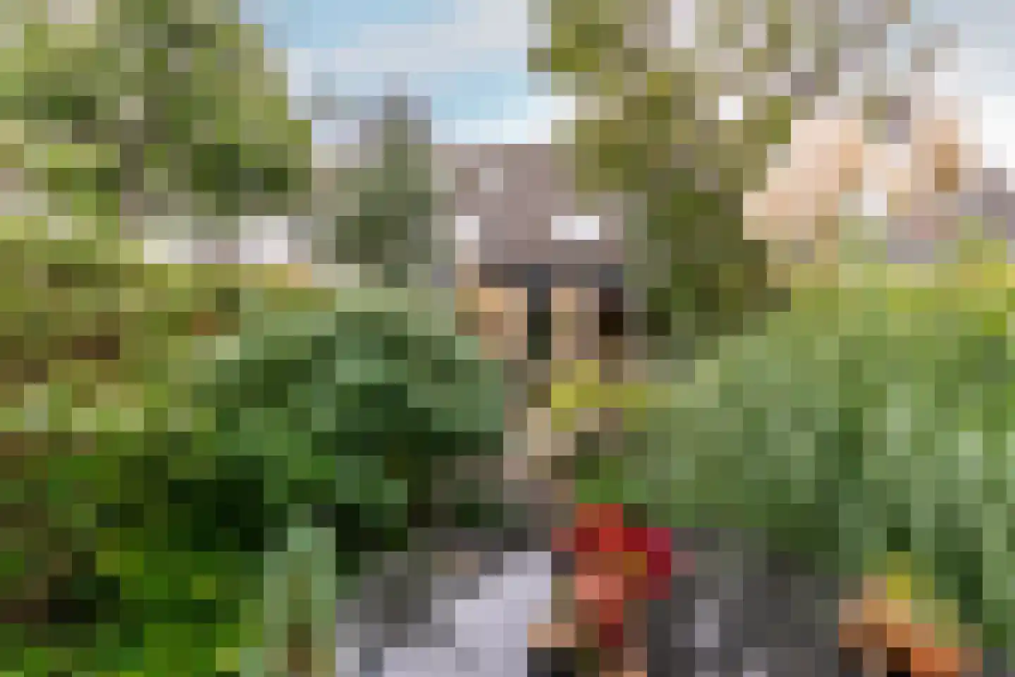 Chopinstraat 73 Capelle aan den IJssel thumbnail 25