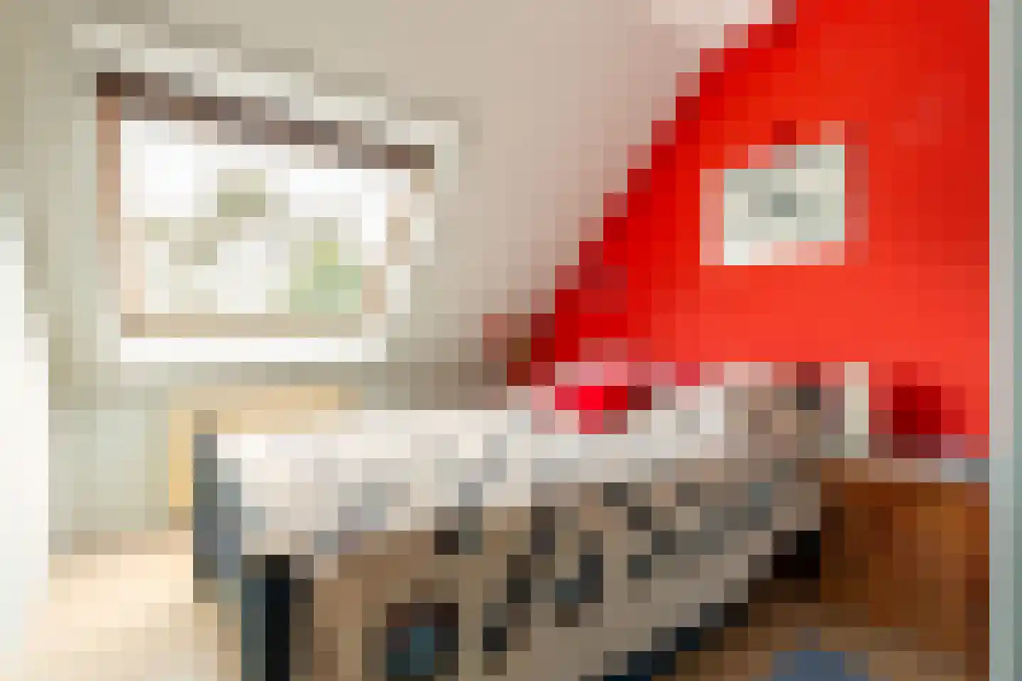 Chopinstraat 73 Capelle aan den IJssel thumbnail 30