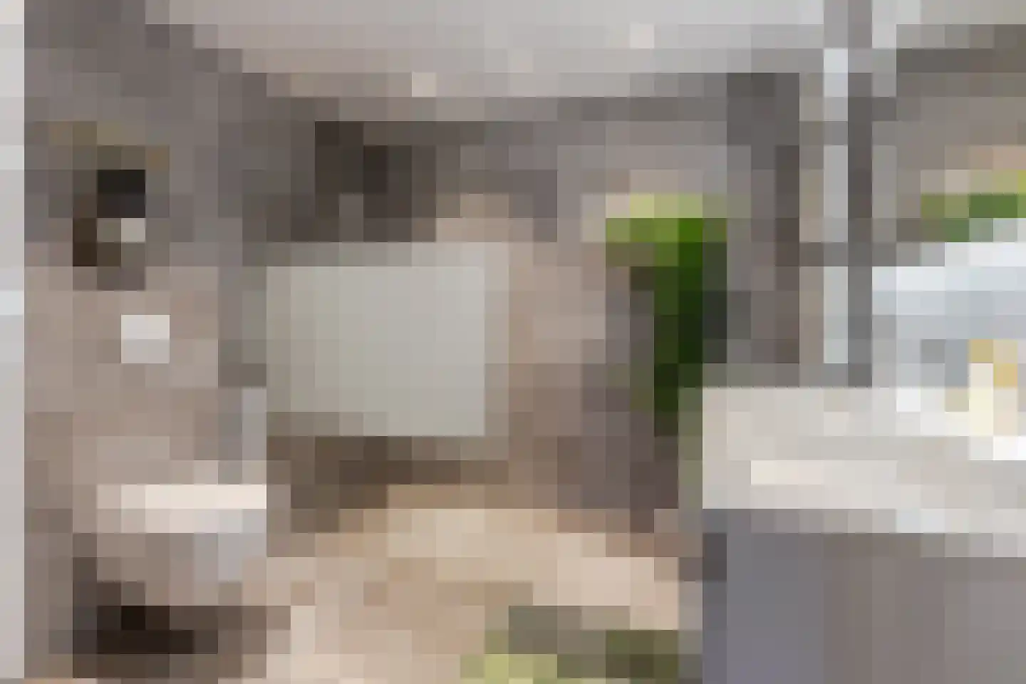 Chopinstraat 73 Capelle aan den IJssel thumbnail 31