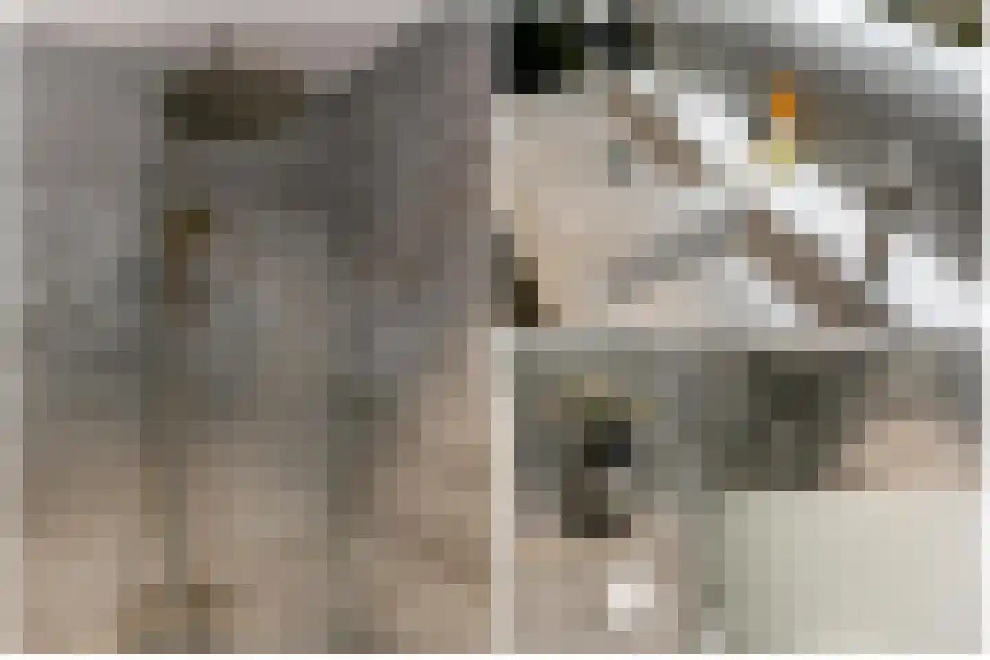 Chopinstraat 73 Capelle aan den IJssel thumbnail 32