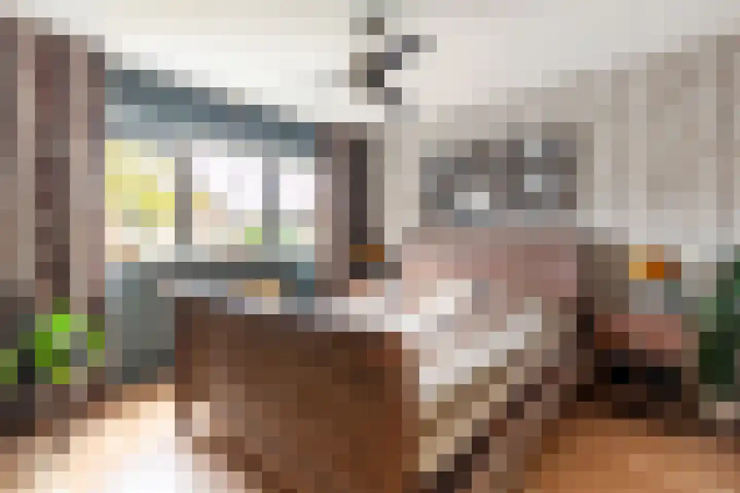 Chopinstraat 73 Capelle aan den IJssel thumbnail 33