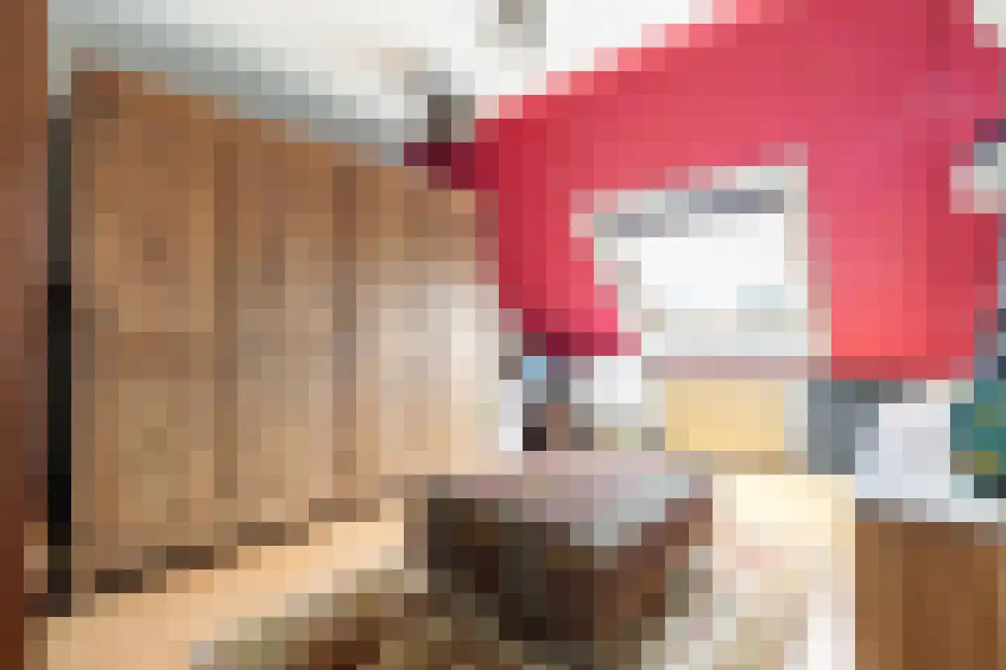 Chopinstraat 73 Capelle aan den IJssel thumbnail 34