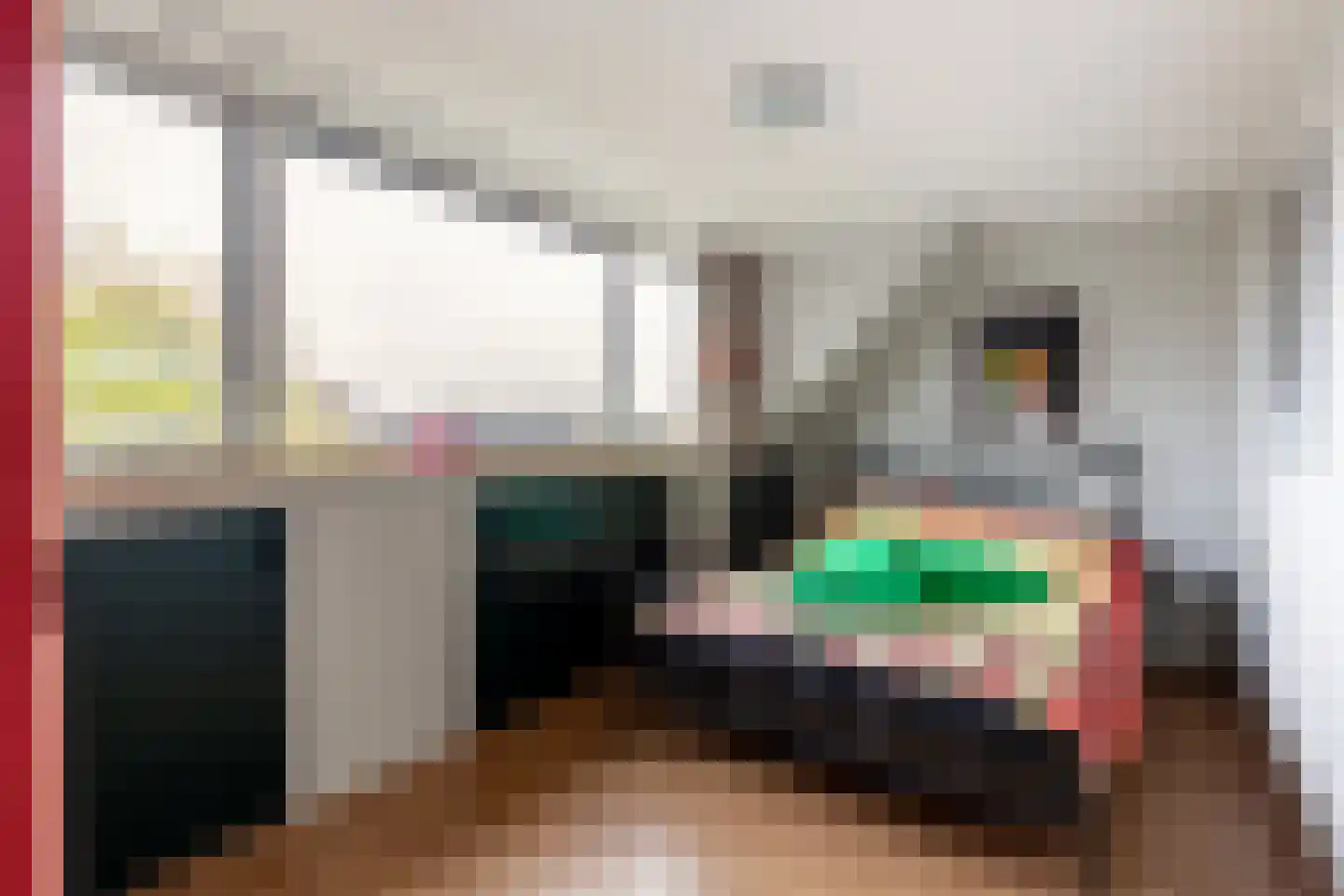 Chopinstraat 73 Capelle aan den IJssel thumbnail 36