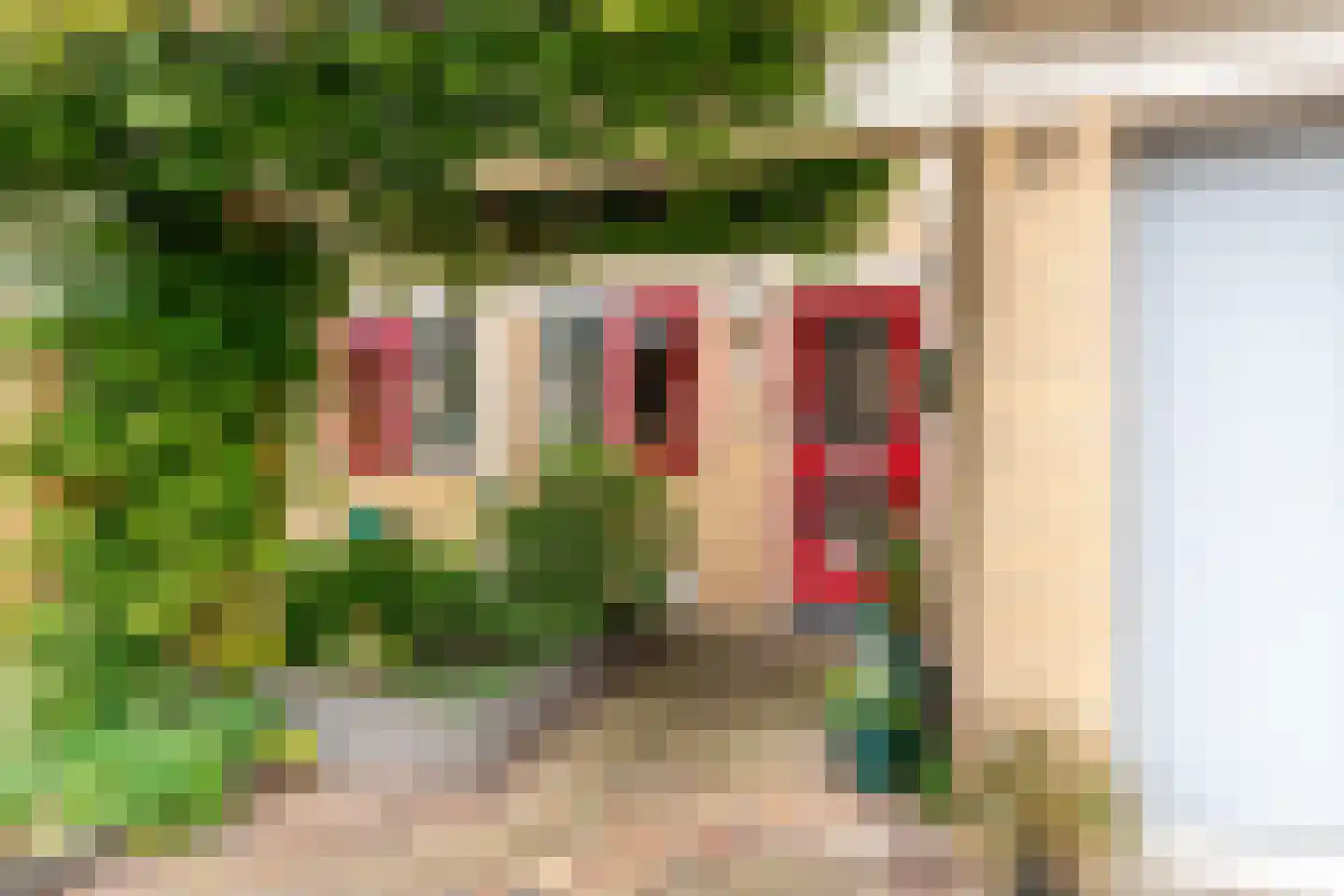 Chopinstraat 73 Capelle aan den IJssel thumbnail 39