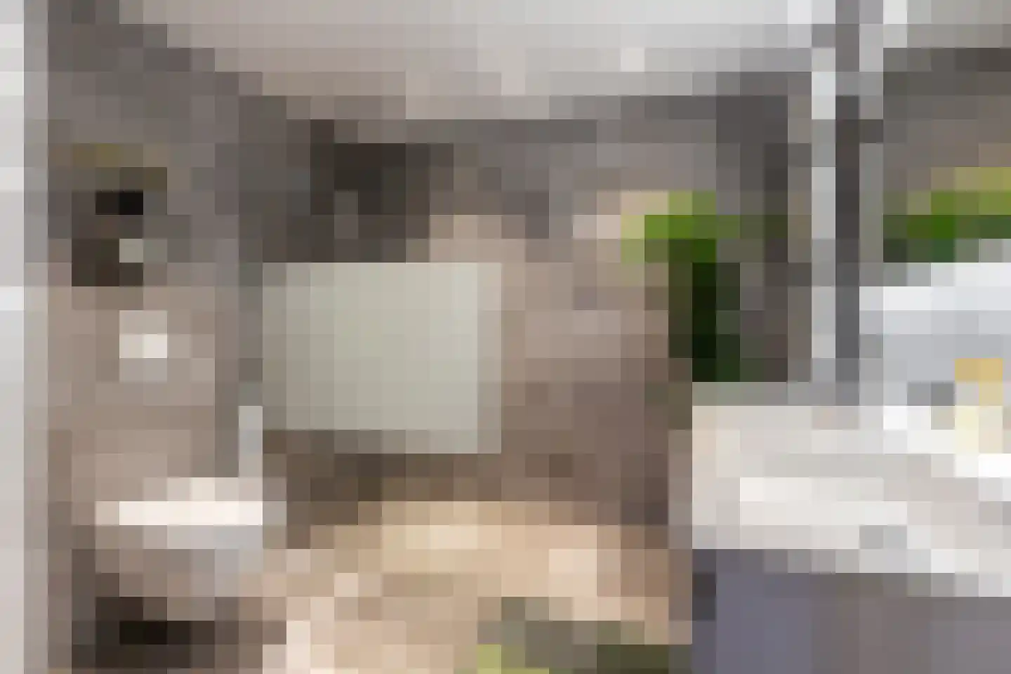 Chopinstraat 73 Capelle aan den IJssel thumbnail 4