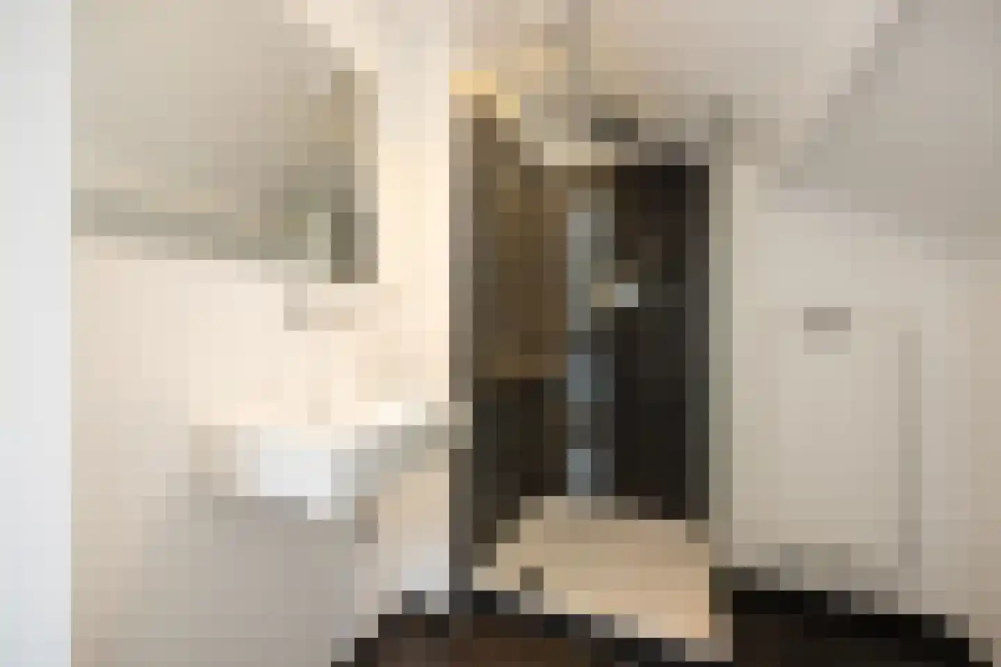 Chopinstraat 8 B 's-Hertogenbosch thumbnail 40
