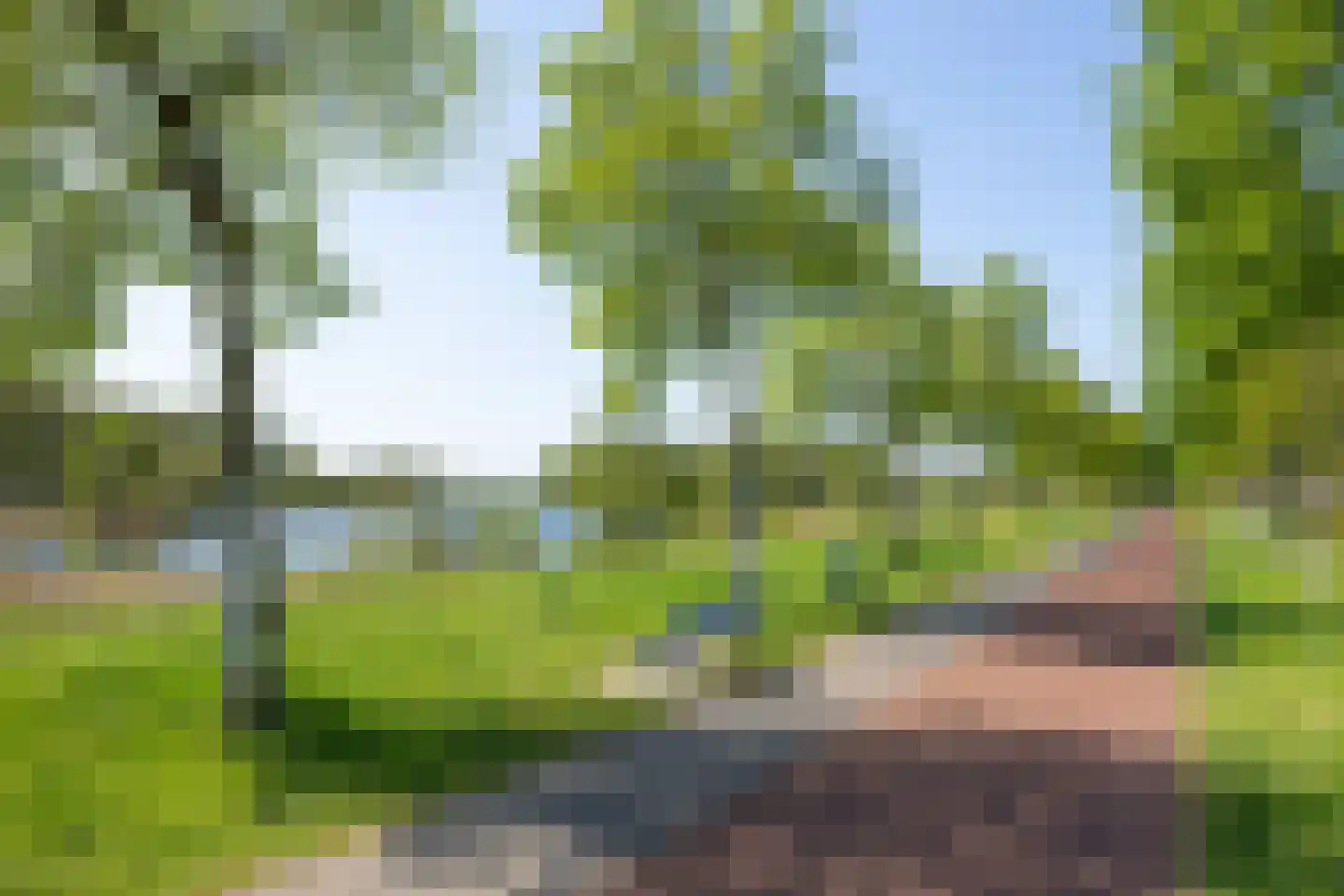 Chopinstraat 8 B 's-Hertogenbosch thumbnail 48
