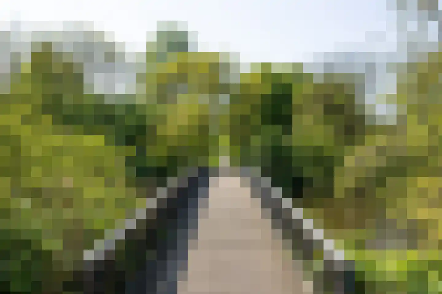 Chopinstraat 8 B 's-Hertogenbosch thumbnail 51