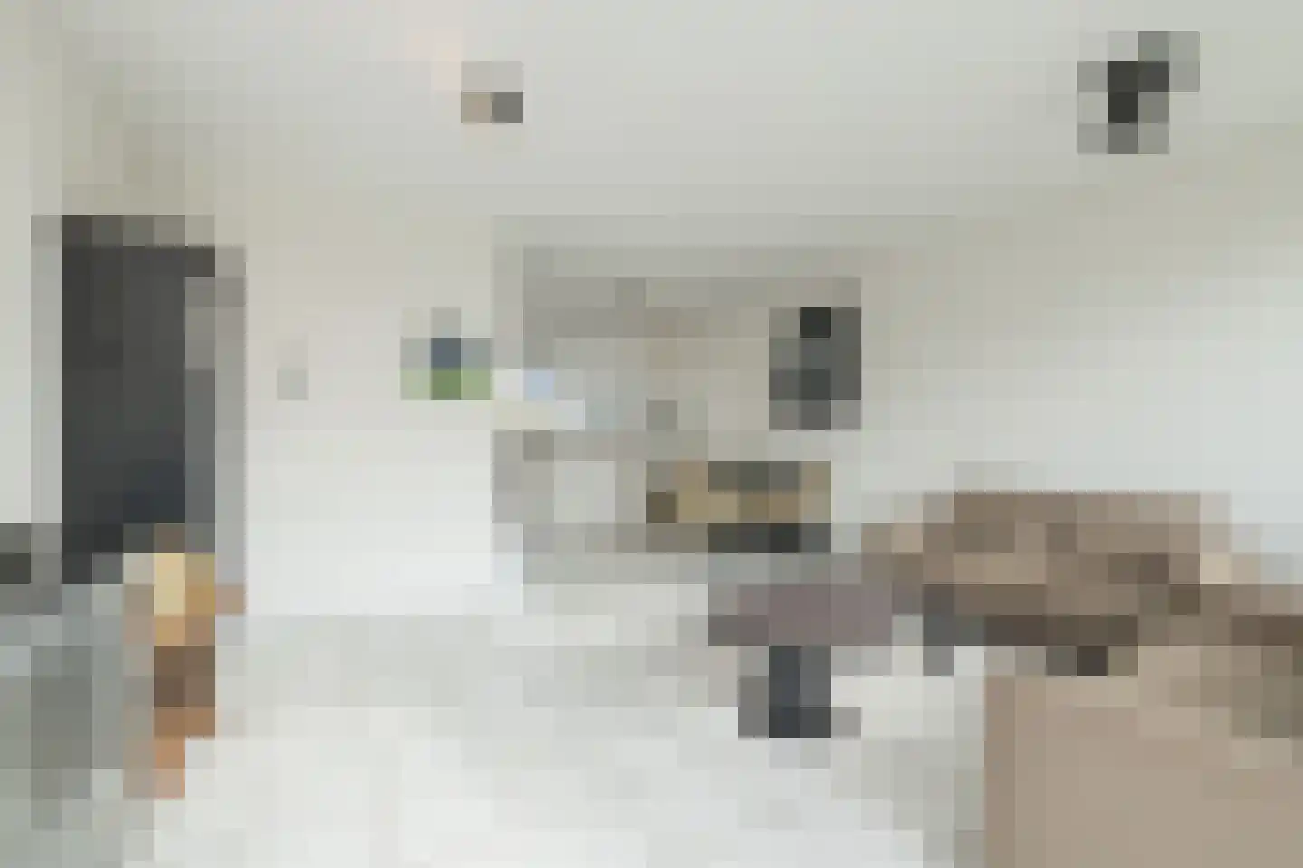 Chopinstraat 83 Lisse thumbnail 20