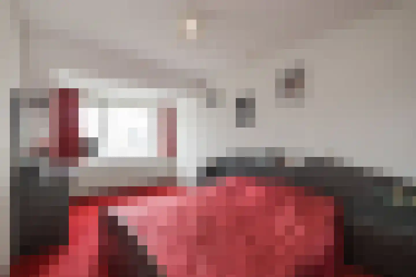 Chopinstraat 83 Lisse thumbnail 31