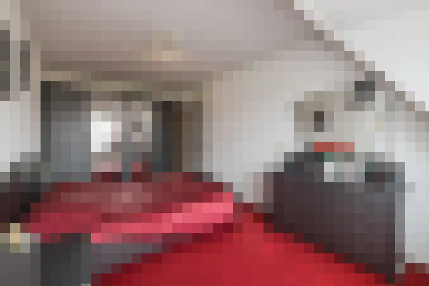 Chopinstraat 83 Lisse thumbnail 32