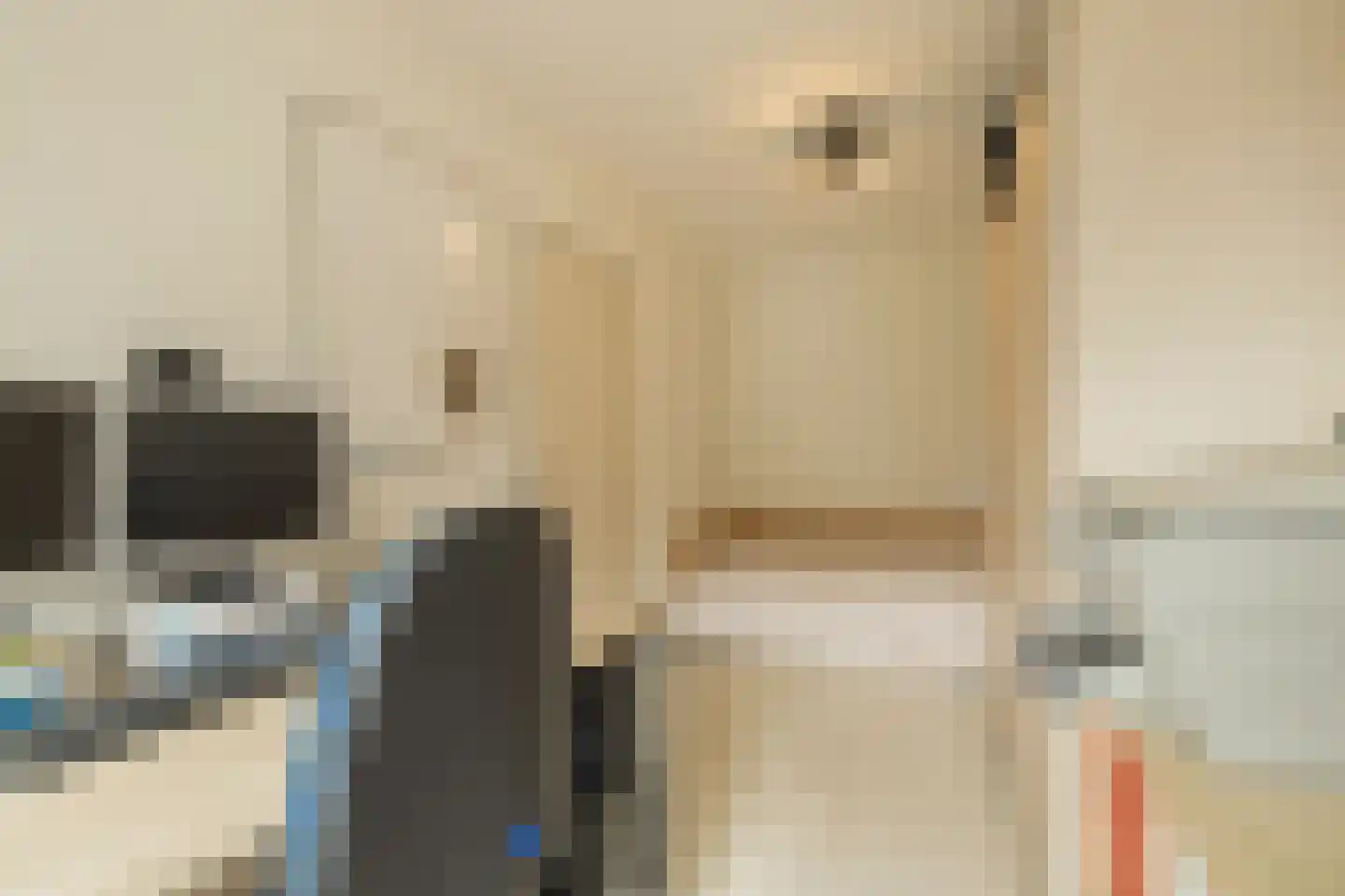 Chopinstraat 83 Lisse thumbnail 46
