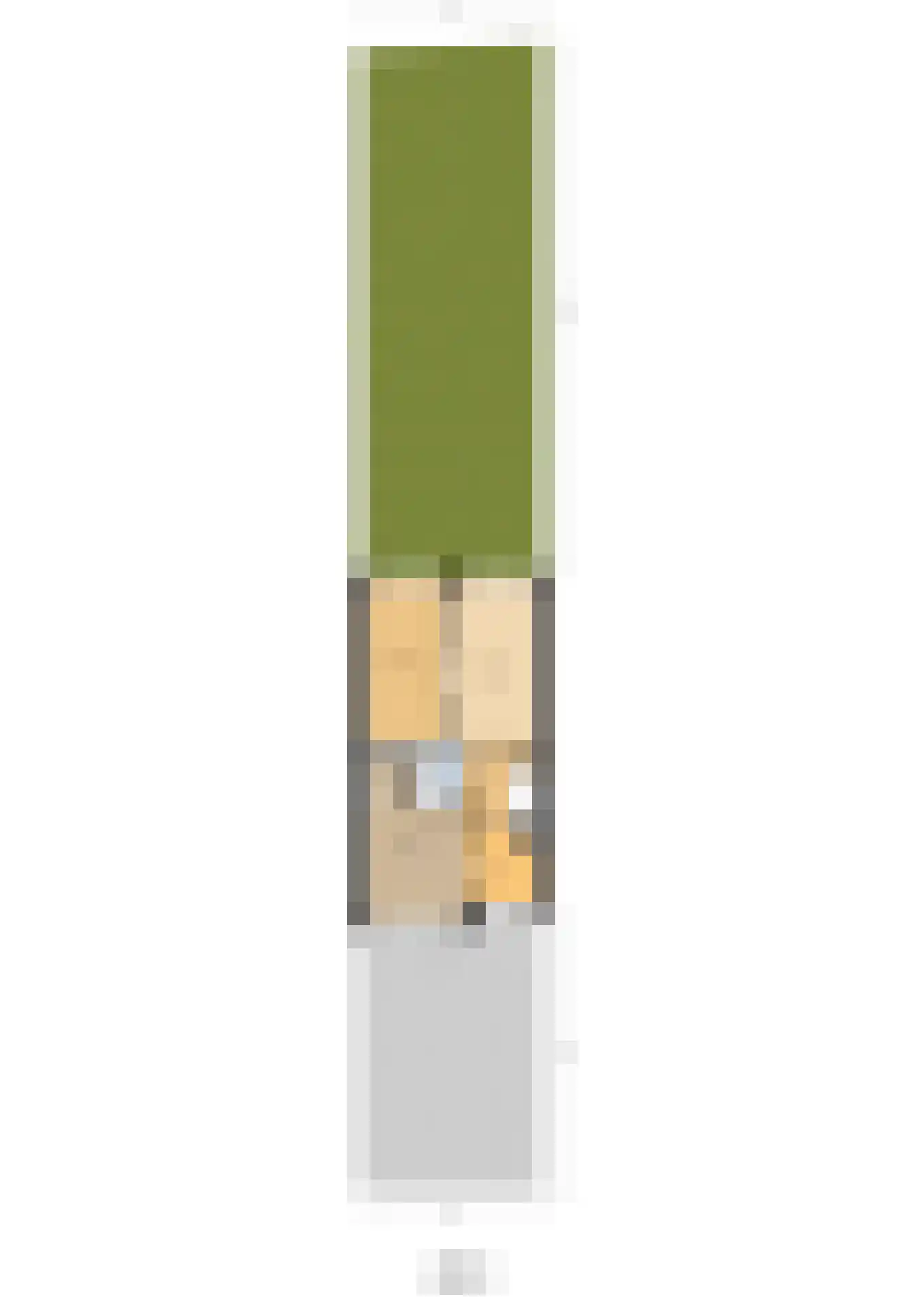 Chopinstraat 83 Lisse thumbnail 50